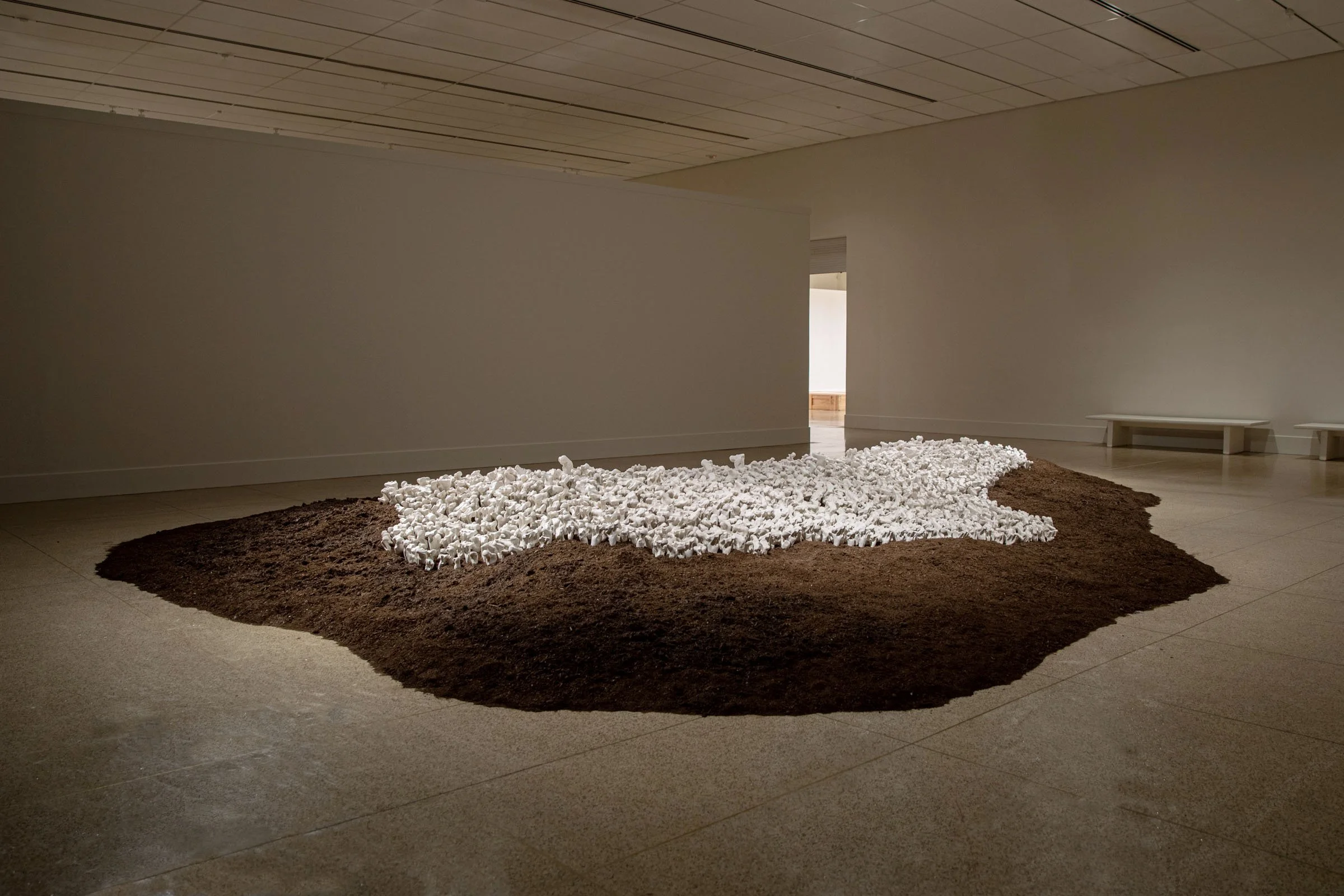 'Terra' San Diego Museum of Art