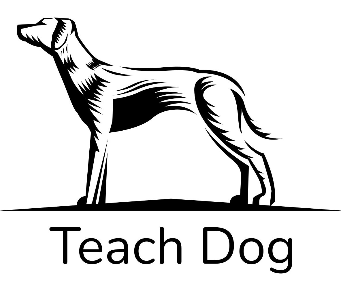 Teach Dog