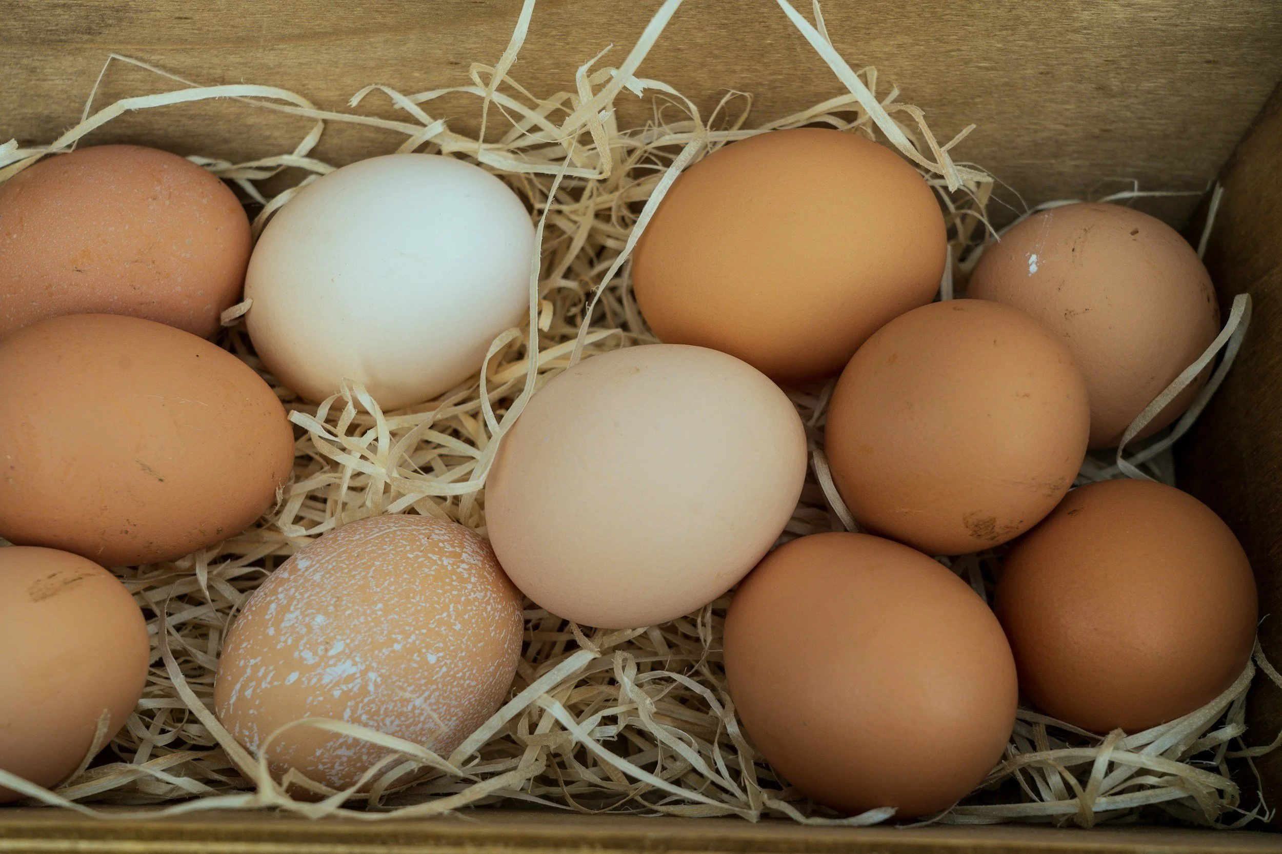 Fresh eggs in a nesting box