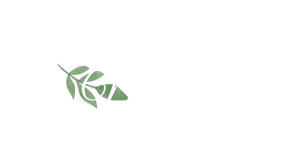 Mindful Mental and Behavioral Health Portland,OR