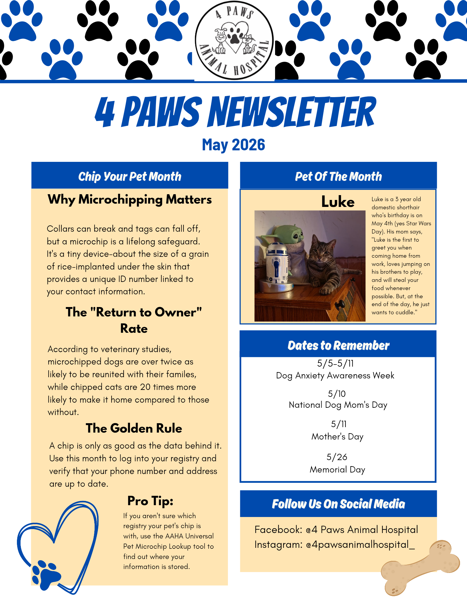 4 Paws May 2026 Newsletter