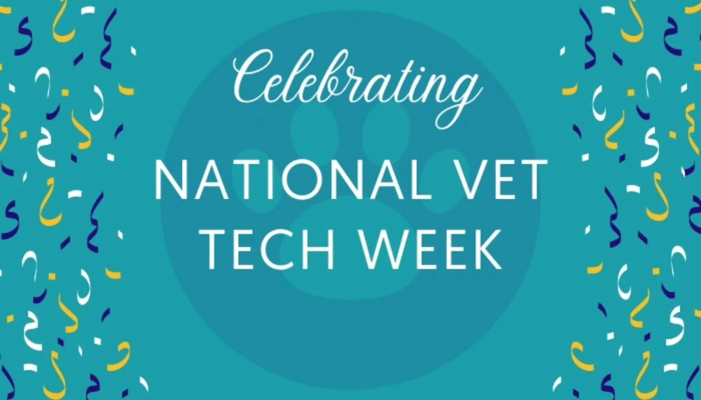 πΎβ¨ Happy Vet Tech Week! β¨πΎ 
This week, we raise our paws to the unsung heroes behind every wagging tail and purring patient—our incredible veterinary technicians! ππ©Ίπ
From calming nervous pets to assisting in life-saving procedures, vet t