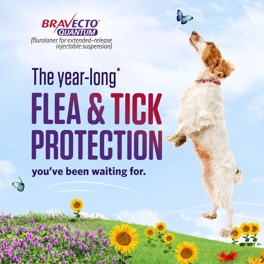 Get this! We now offer a new way to protect your dog from fleas and ticks all year long* - BRAVECTO® QUANTUM. 12 months* of protection in just 1 dose.¹