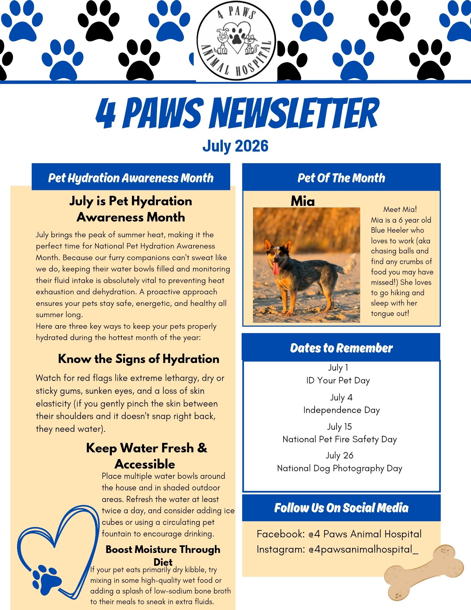 Monthly Newsletter: July 2026