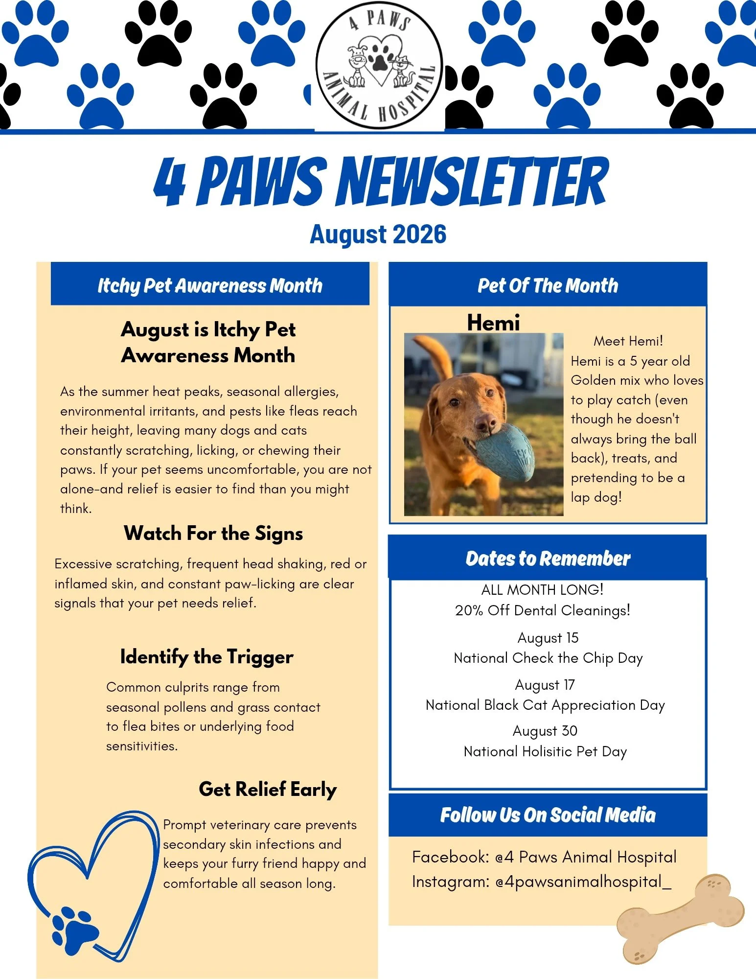 Monthly Newsletter: August 2026