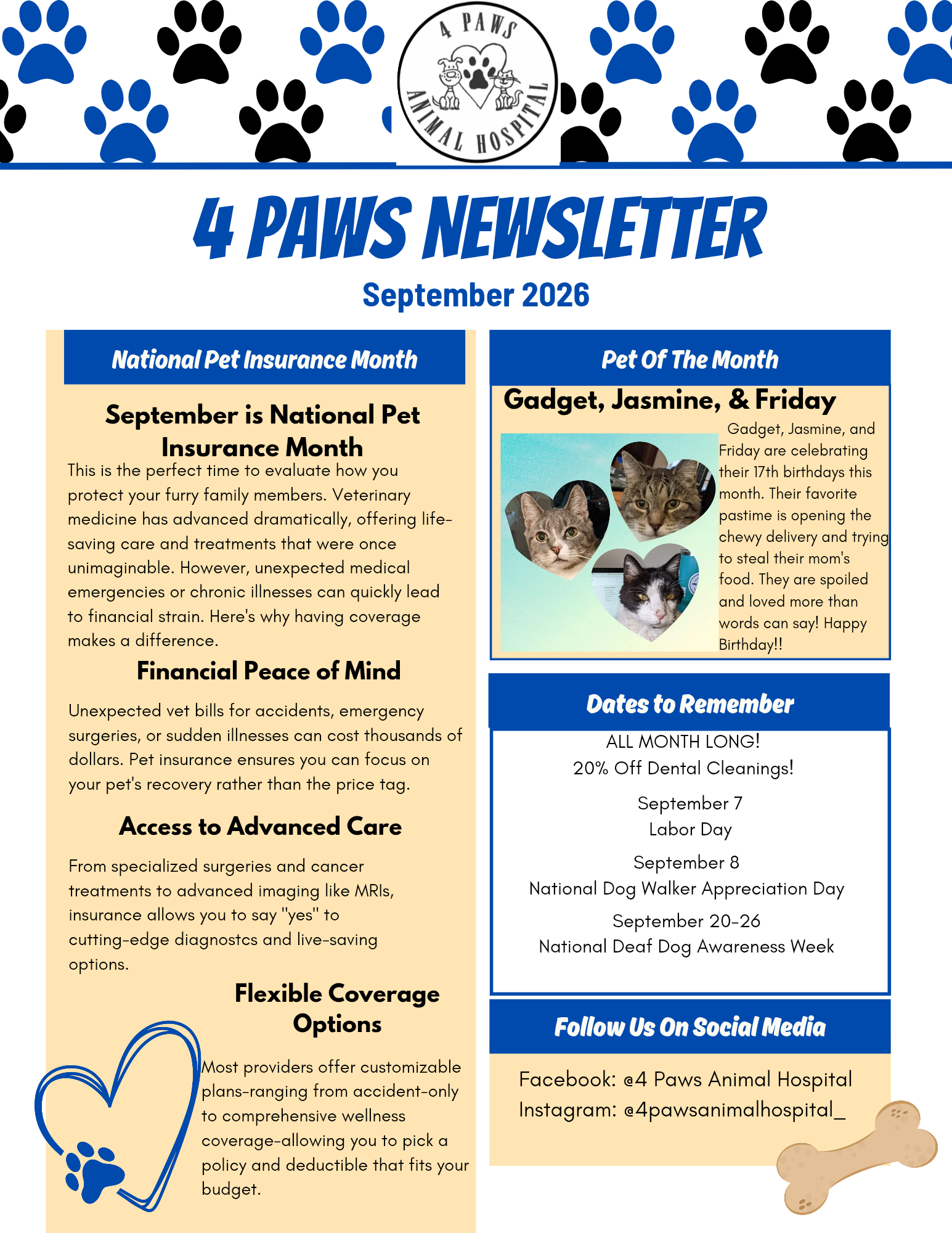 Monthly Newsletter: September 2026