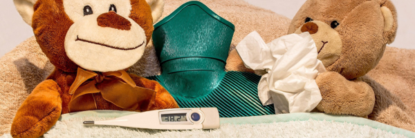 Stock photo of two teddy bears with a hot water bottle and thermometer.