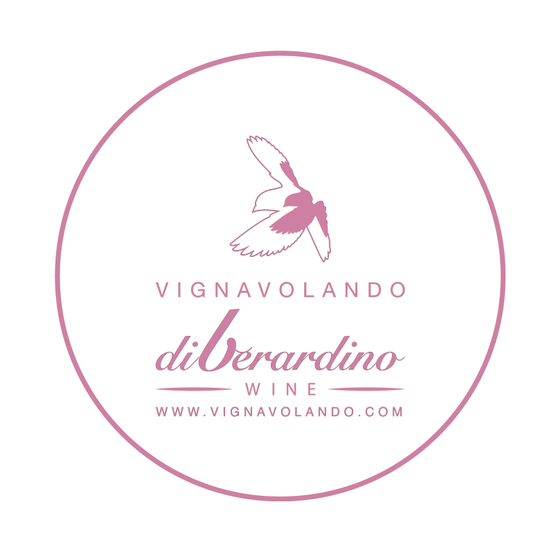 _0000_VignavolandoDiBerardino.png