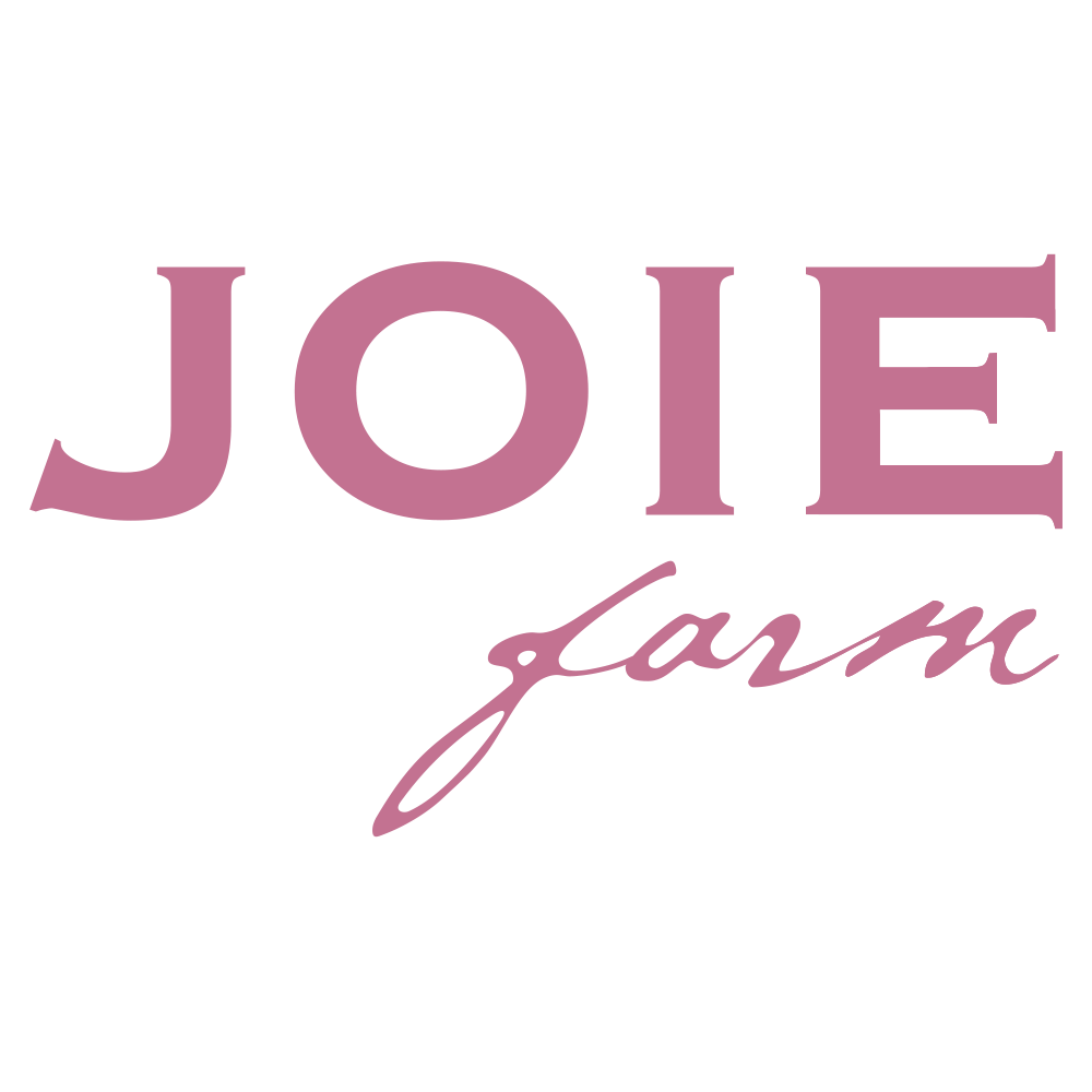 _0031_Joie.png