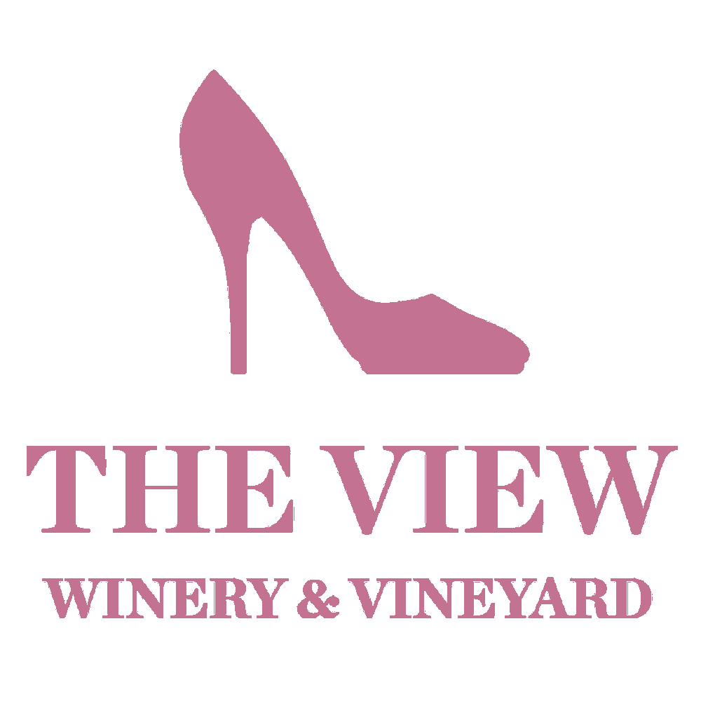 _0005_TheView.png