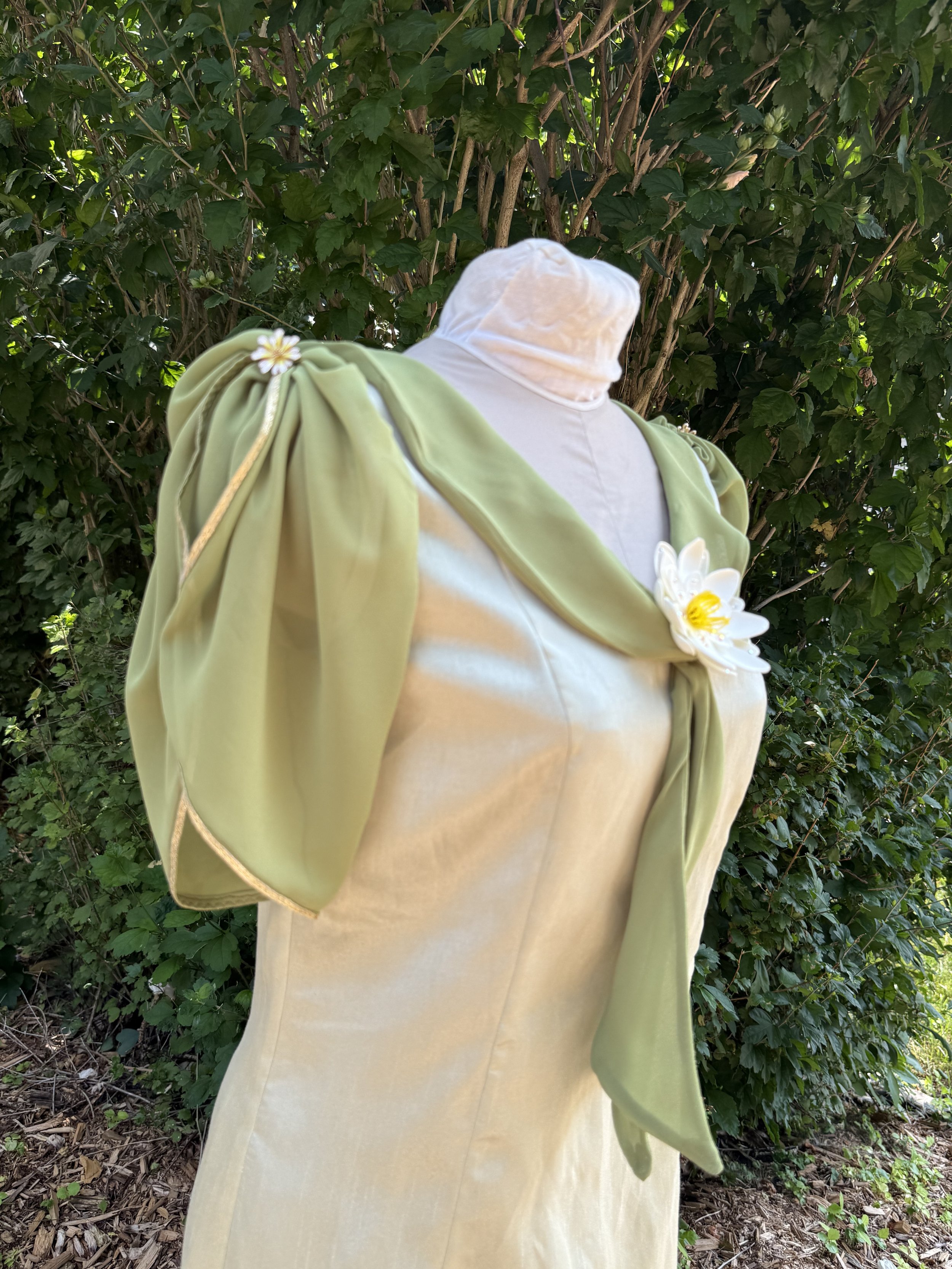 Chiffon sleeves & collar
