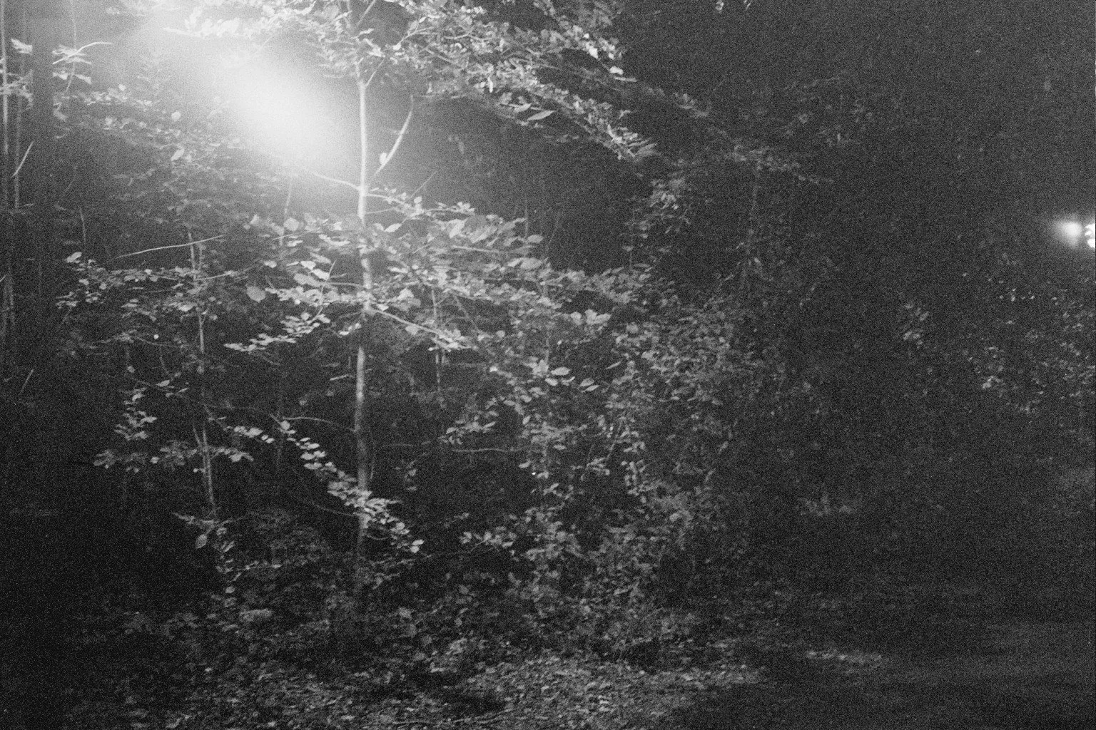 __1_0910.jpg
