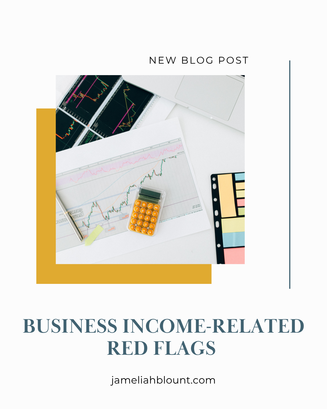 12 I Business Income-Related Red Flags: What Could Trigger an IRS Notice?