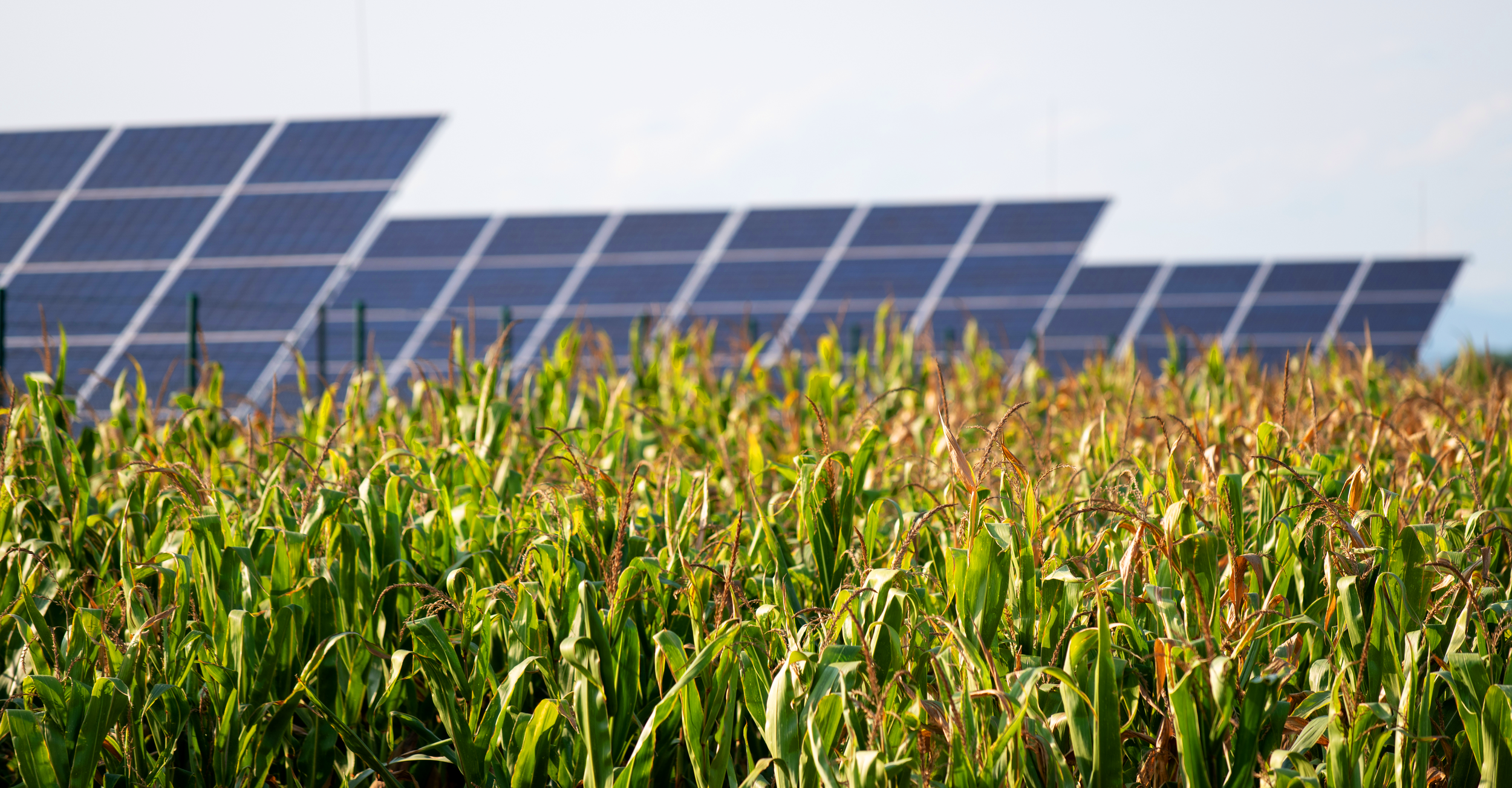 The Rural Revolution: How Utility Solar Is Powering the Heartland