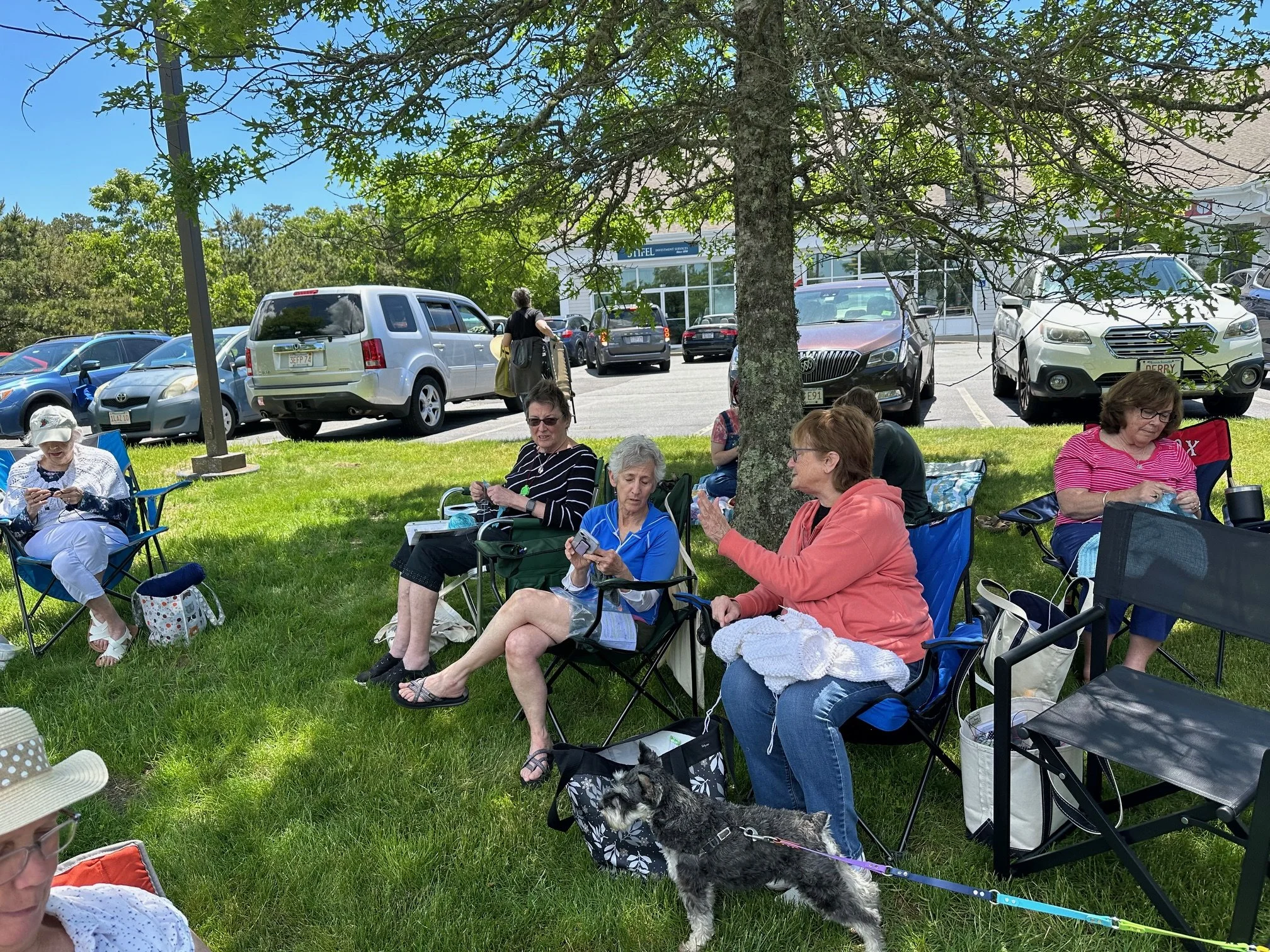 Adventures in Knitting