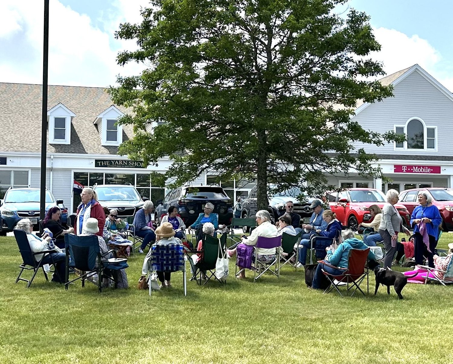 Adventures in Knitting