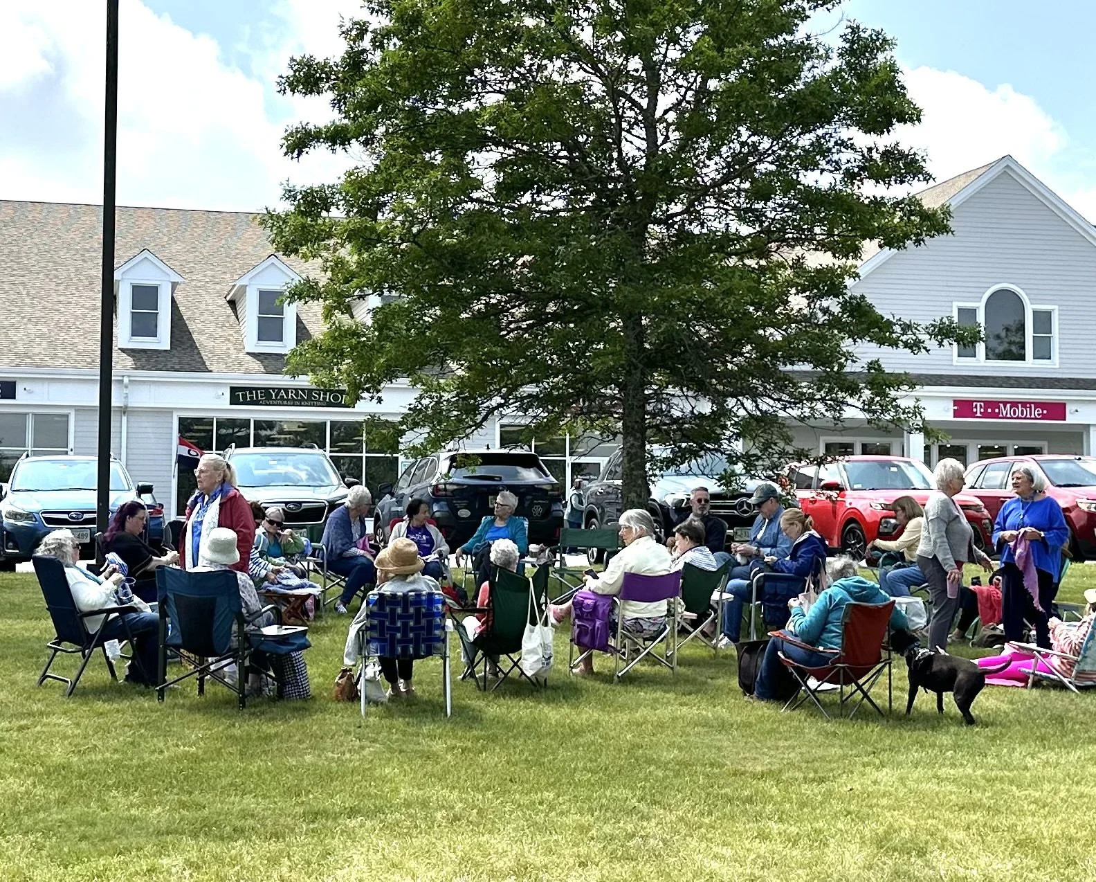 Adventures in Knitting