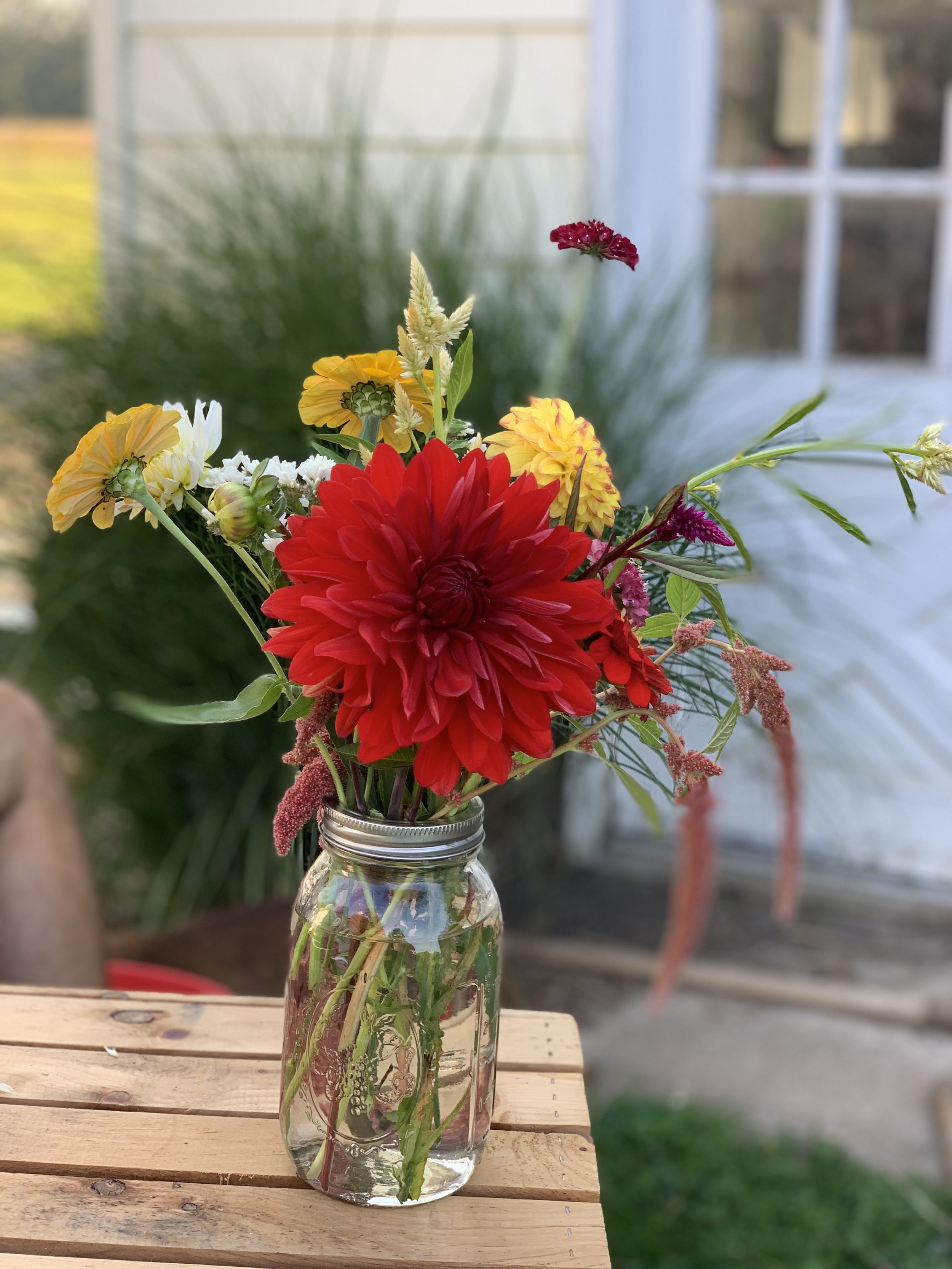 IMG_8464.jpeg