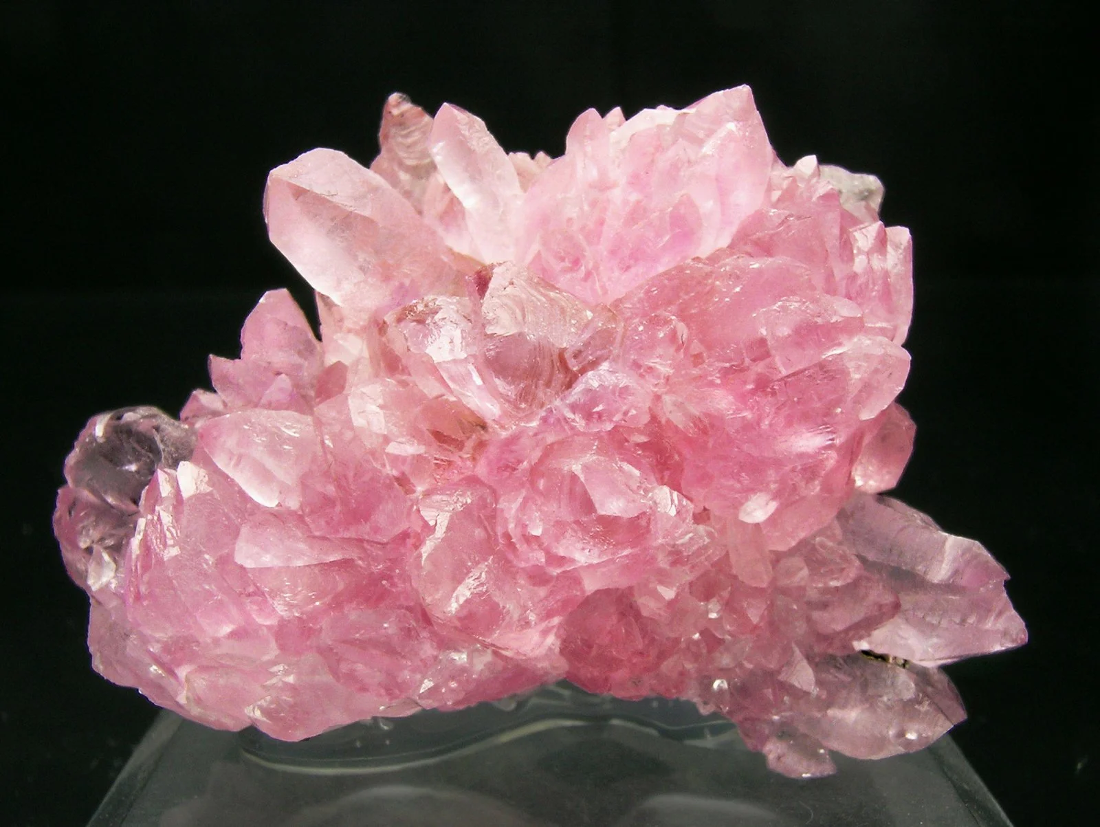 COMING SOON- ROSE QUARTZ: Yoga is for Lovers w/Zapporah