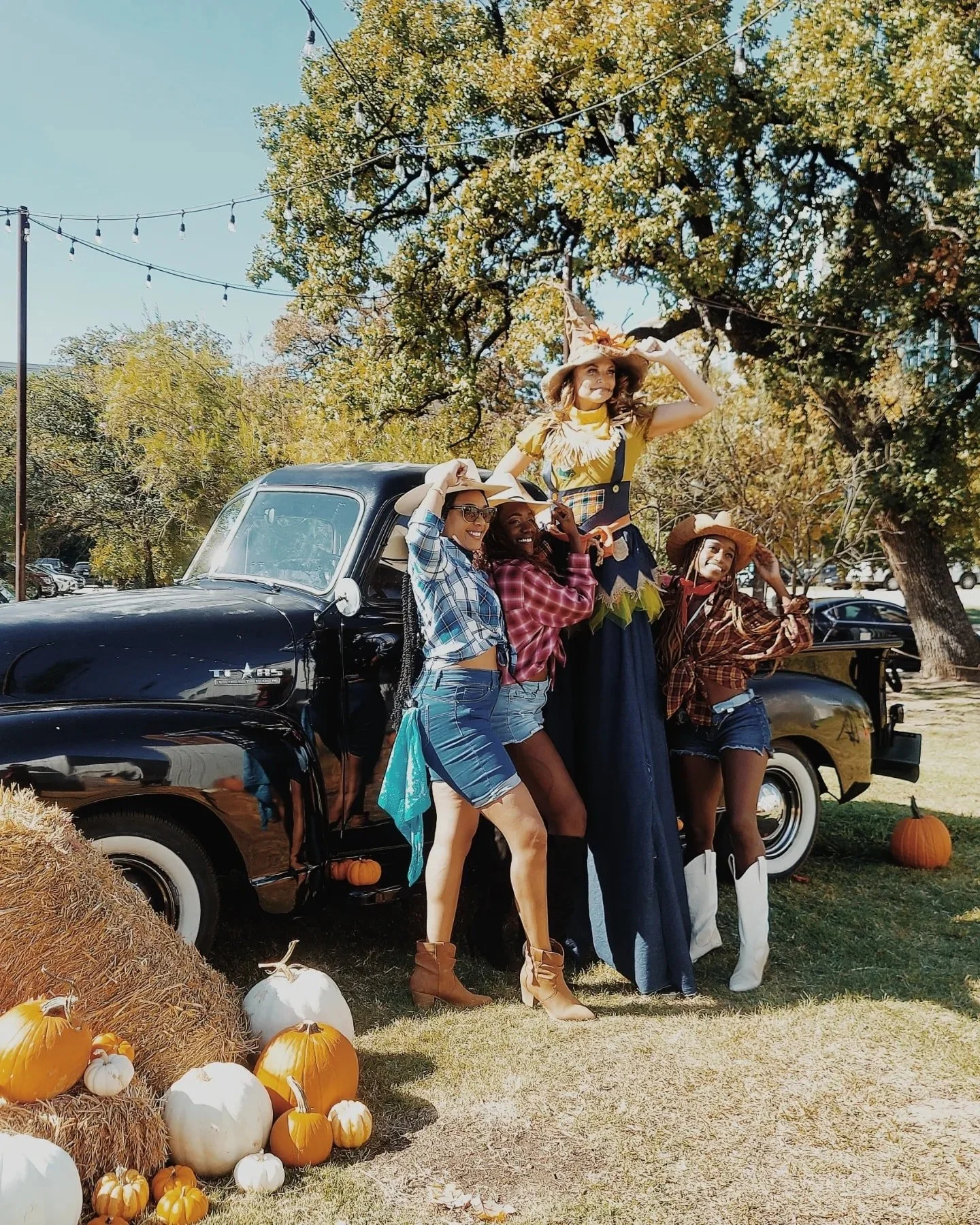 Happy Halloween friends! 🎃

#pegasuscollection