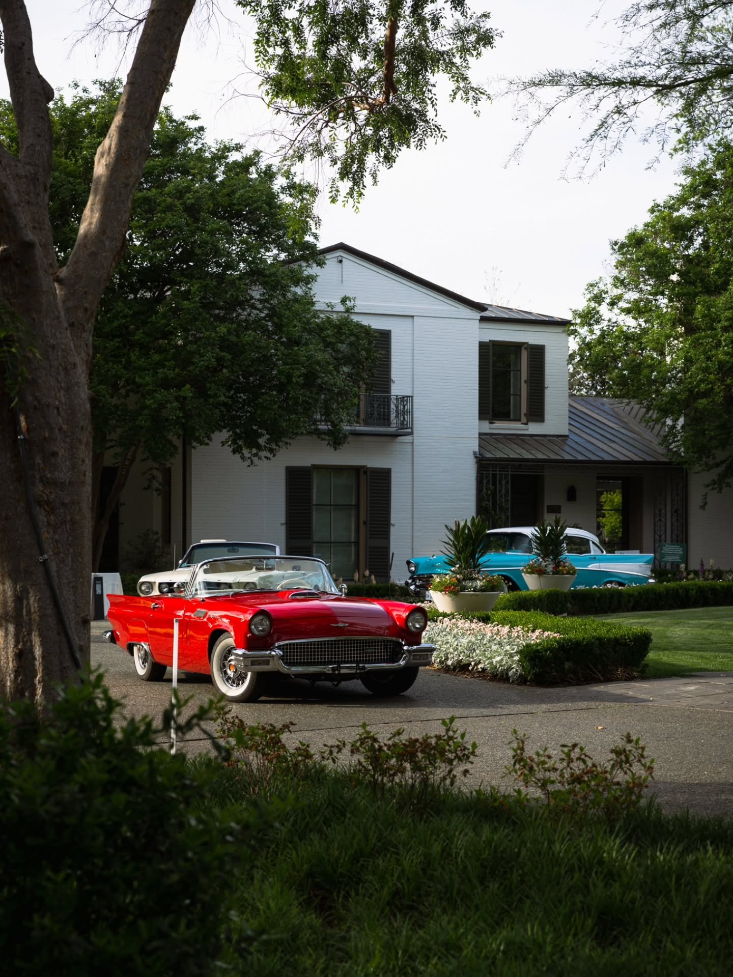 What an incredible event at the Dallas Arboretum | The Pegasus crew was lucky enough to be the official car sponsor of the Dallas Arboretum for their 2026 Wedding Showcase. Just look at the results! Thank you for having us @thedallasarboretum !

Phot