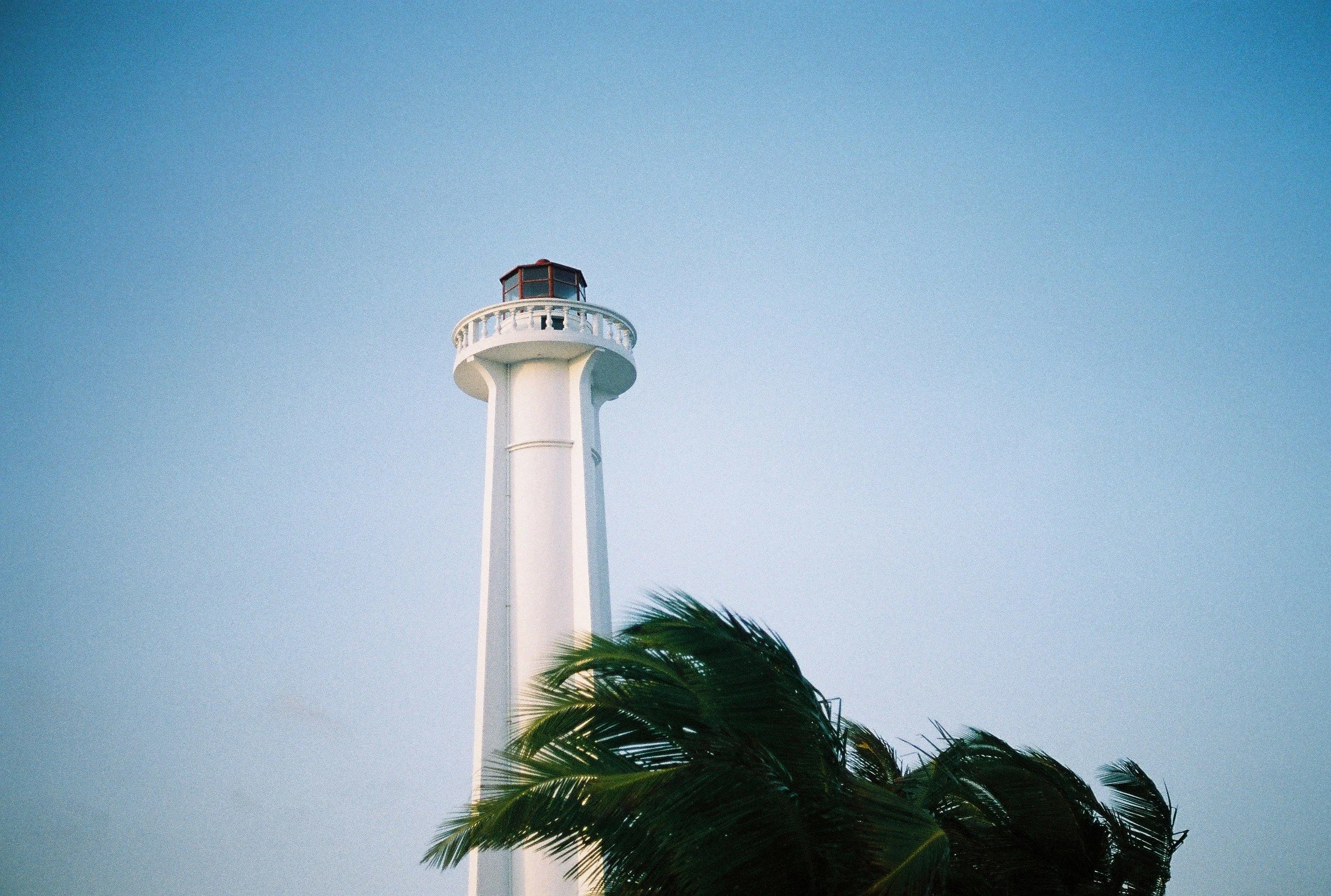White lighthouse with a red and black top, partially obscured by green palm palm leaves, against a clear blue sky.