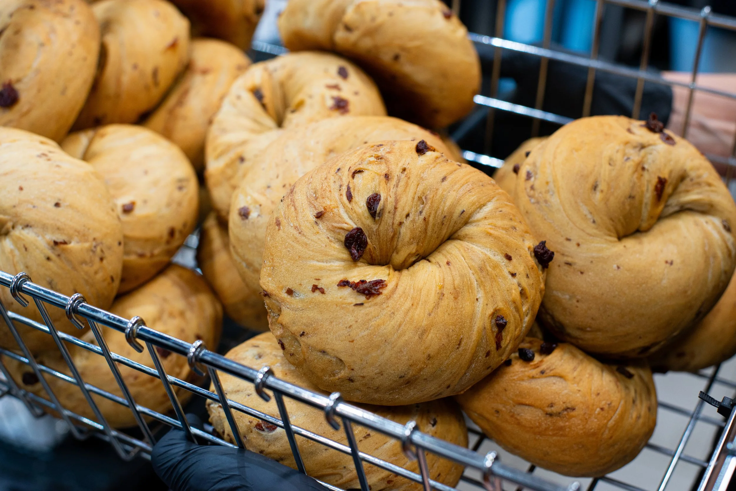 dans bagels-10_Original.jpeg