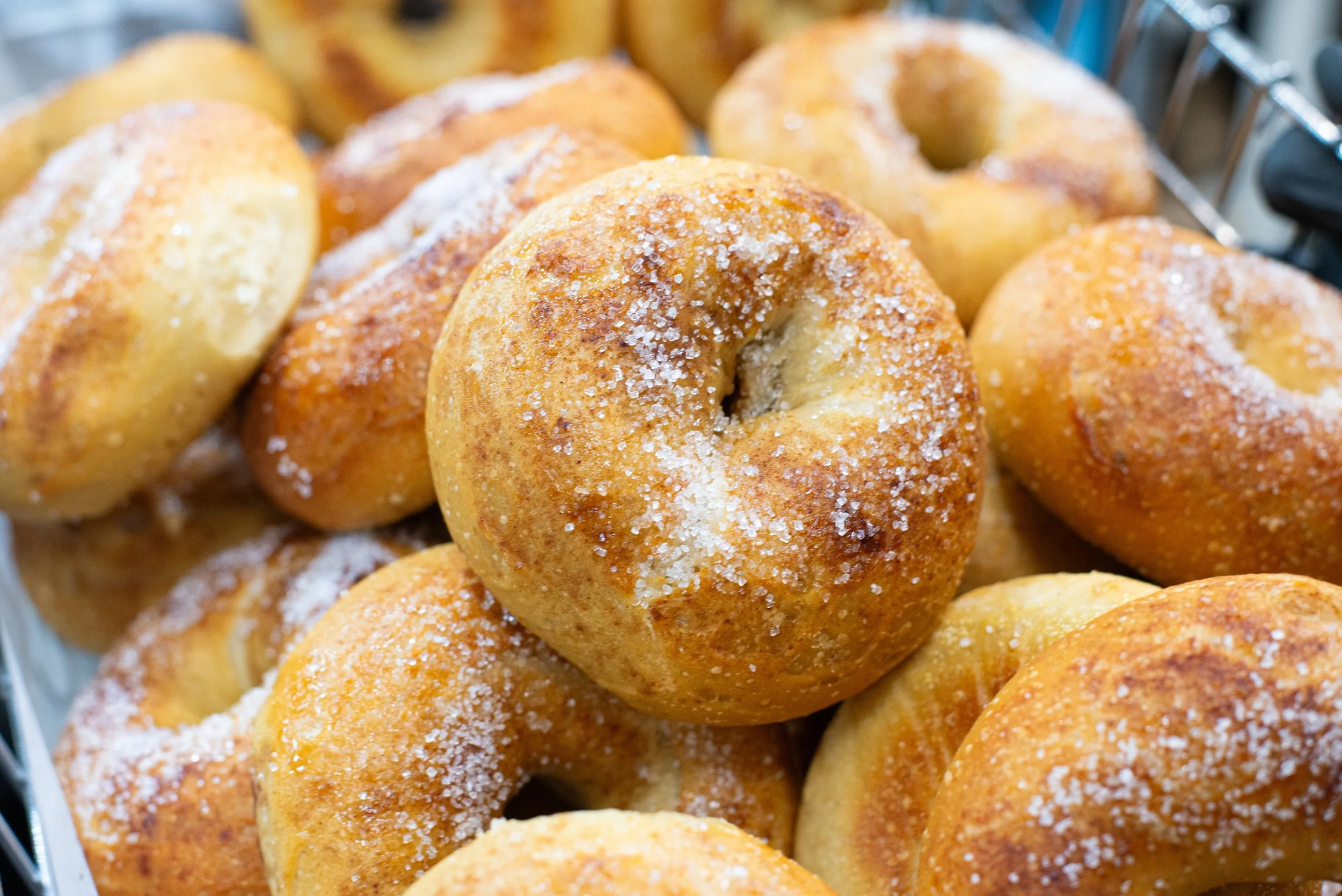 dans bagels-5_Original.jpeg