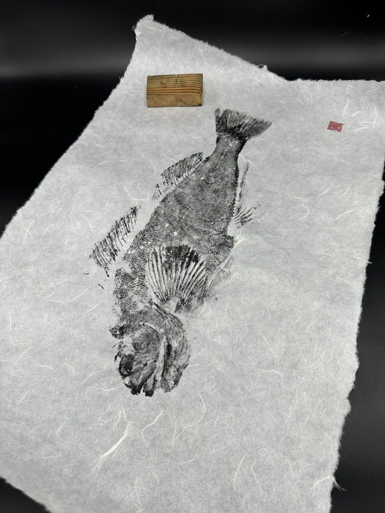 B5B4D42D-97B4-49E4-9427-184DC8316B4E_1_105_c.jpeg