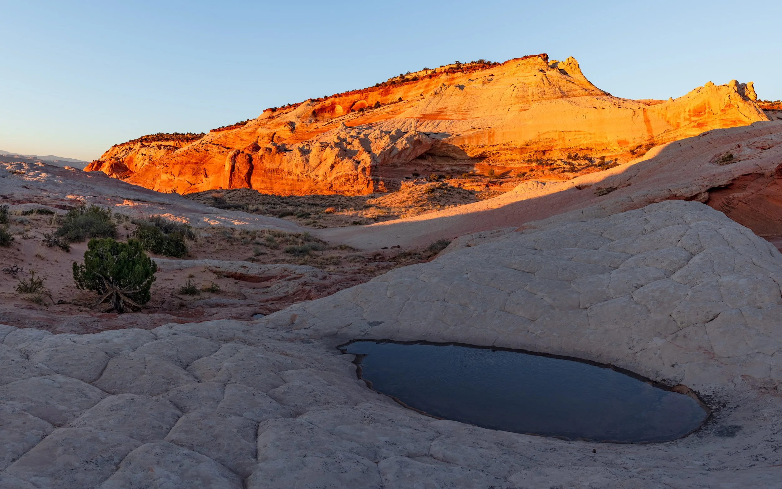 20250419-DSC_6459-HDR-Pano.jpg