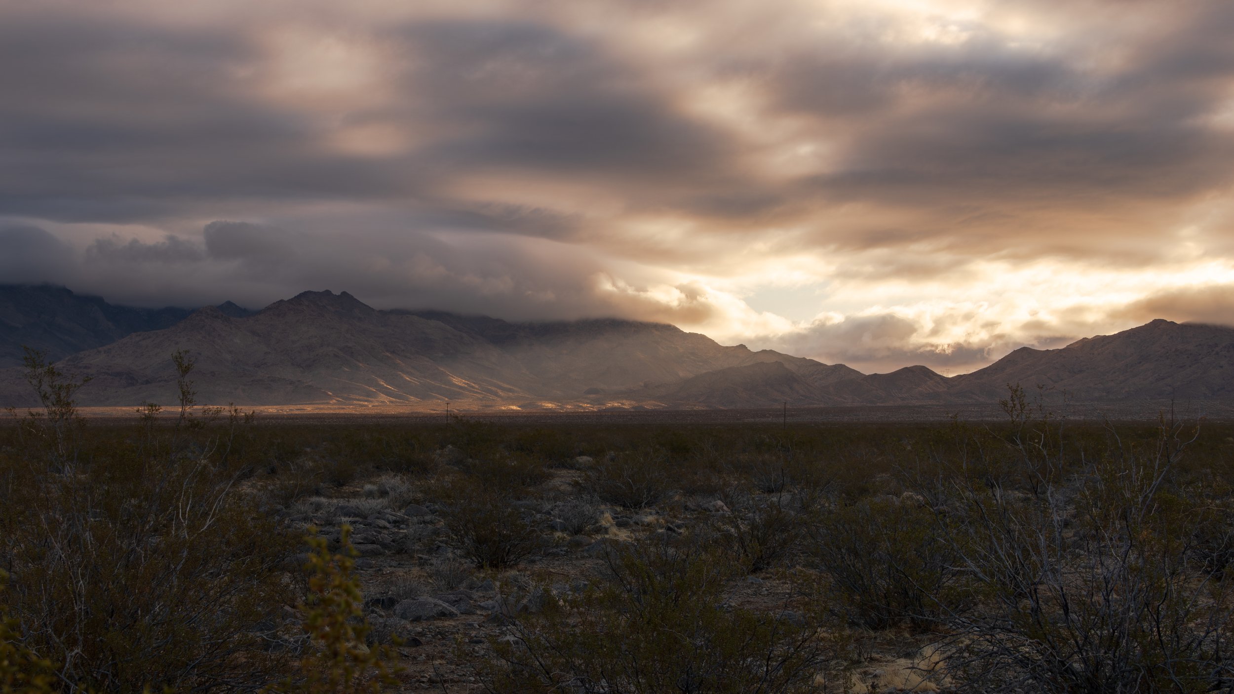 20250315-DSC_4272-HDR.jpg