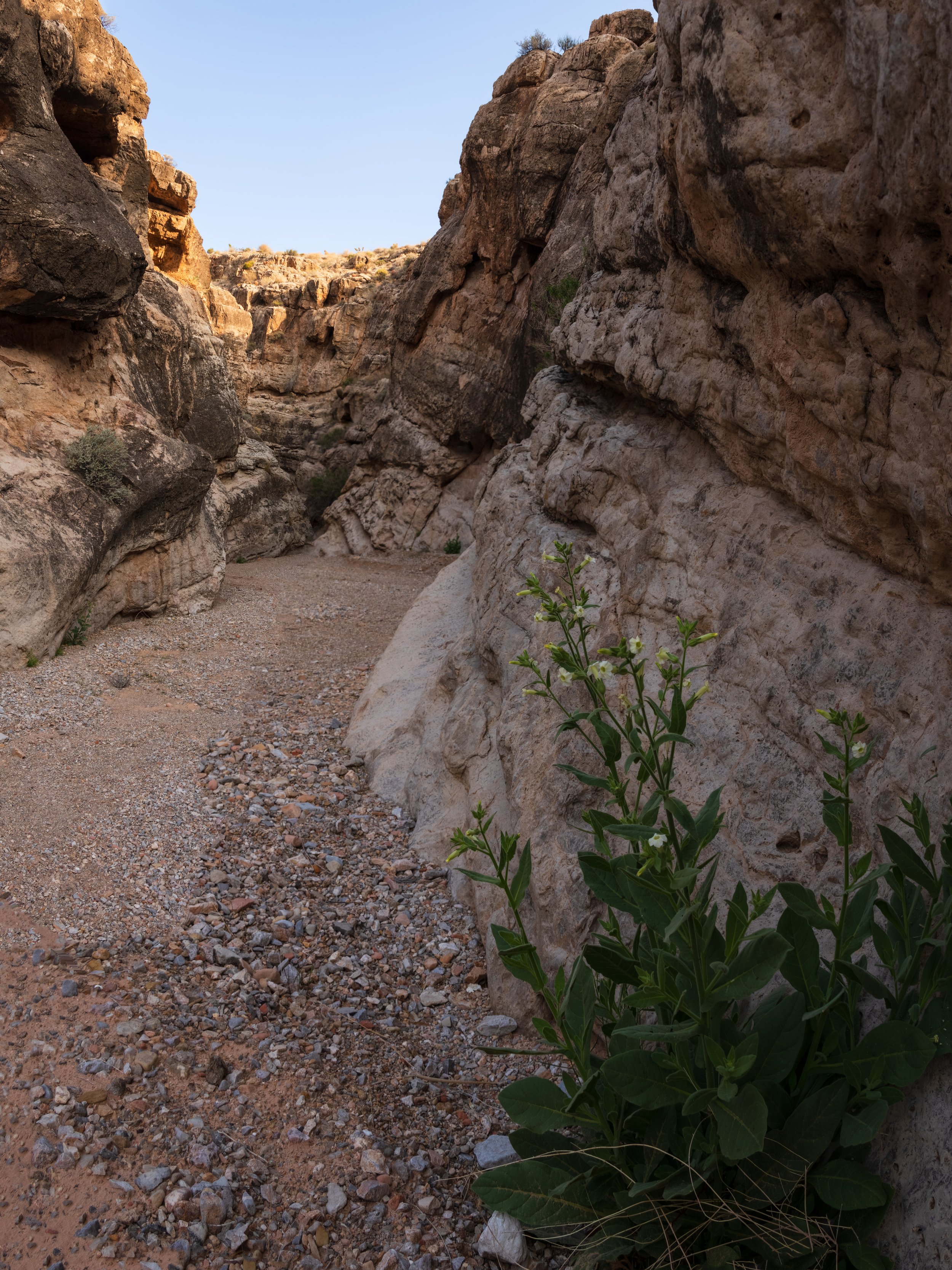 20250329-DSC_4445-HDR-Pano-2.jpg