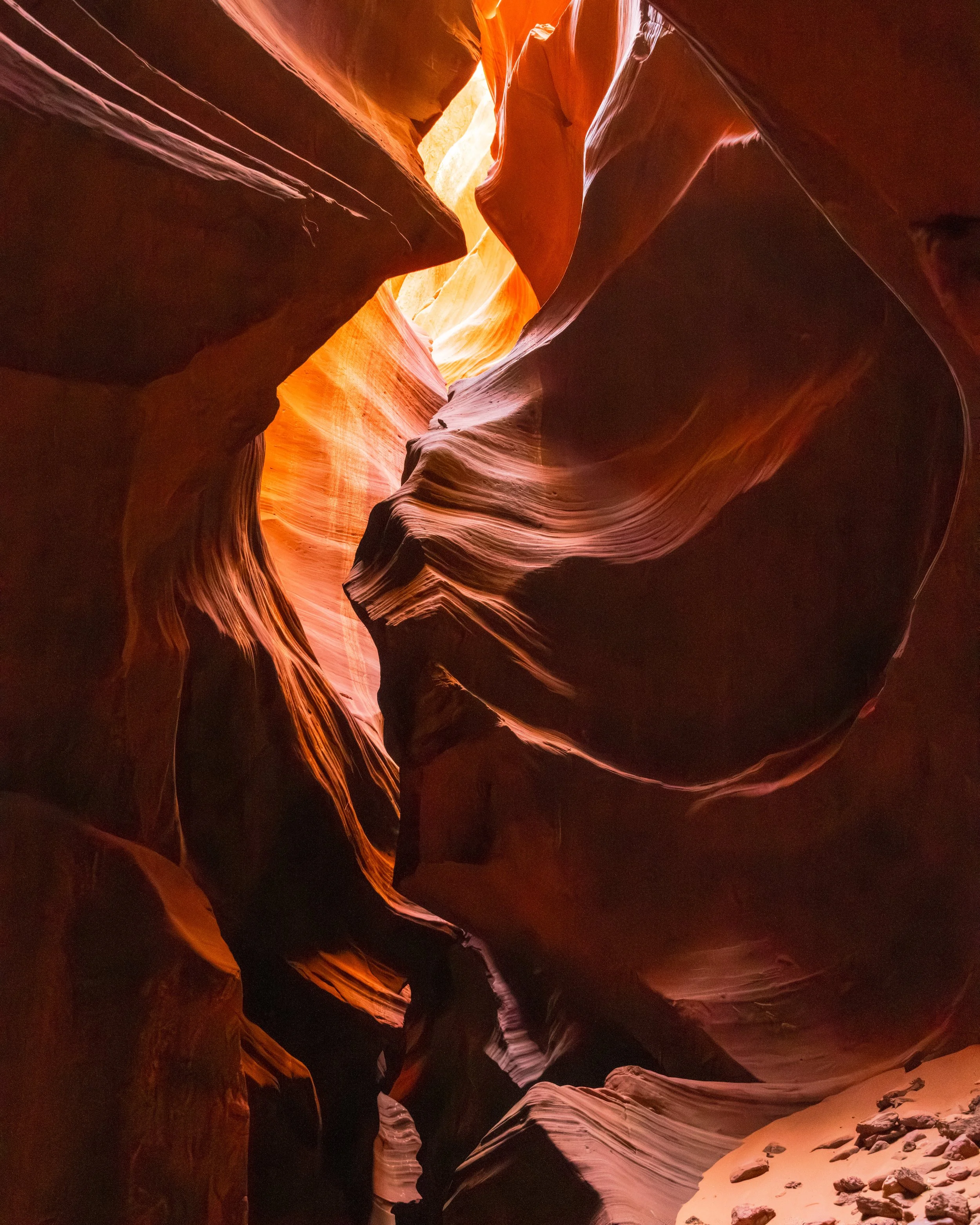 20250420-DSC_7382-HDR-2.jpg