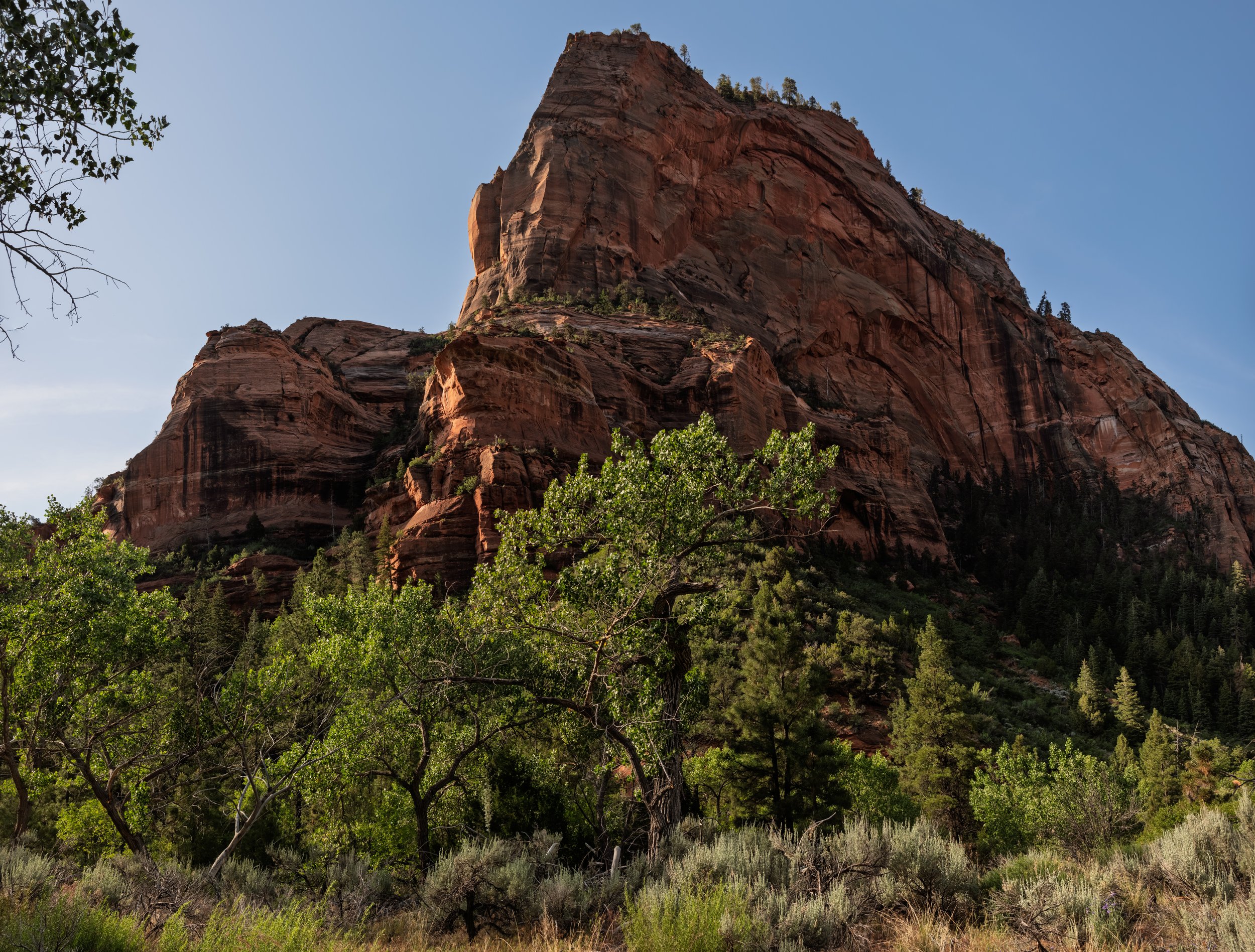 20250601-DSC_9194-HDR-Pano.jpg