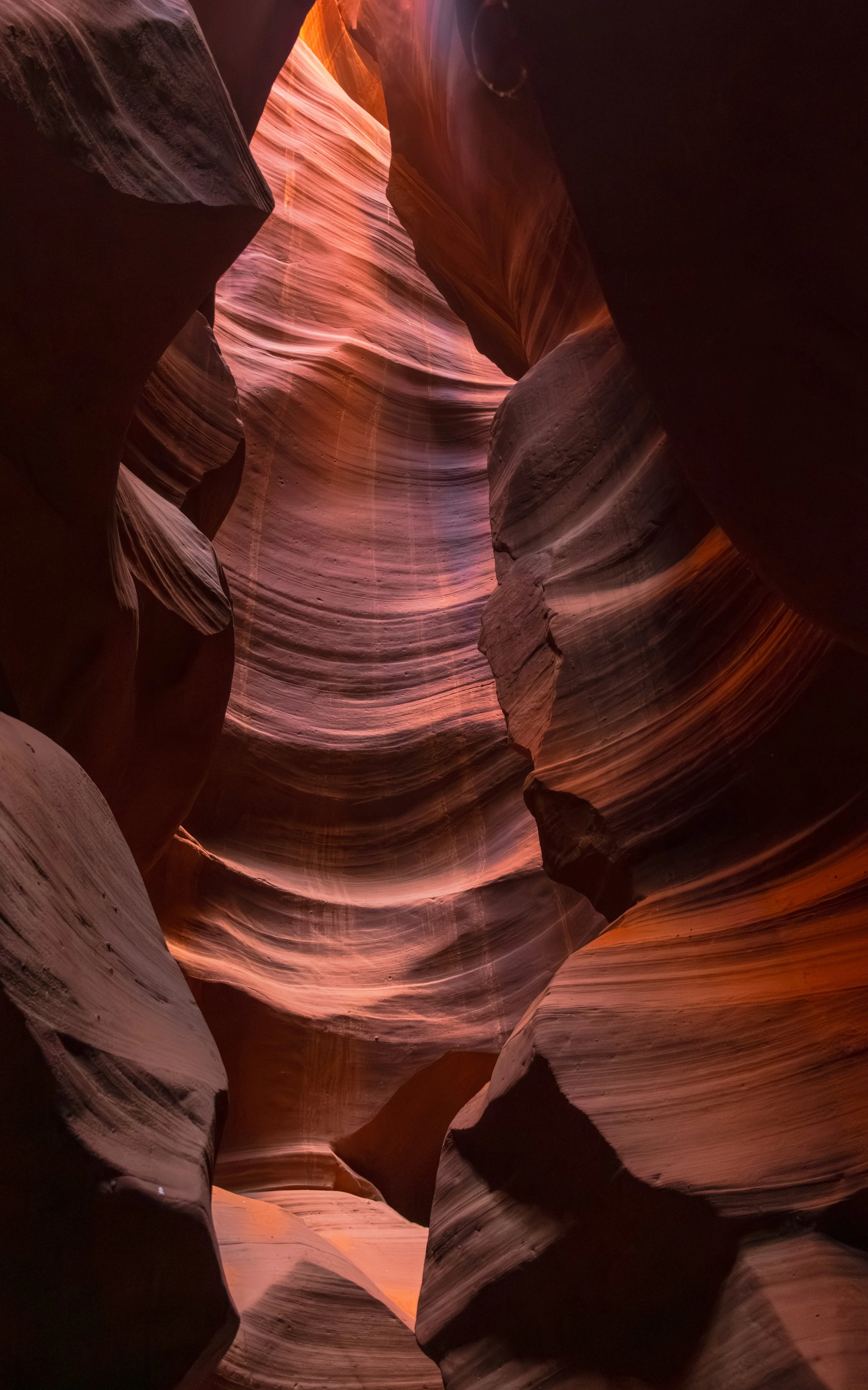20250420-DSC_7312-HDR-Pano.jpg