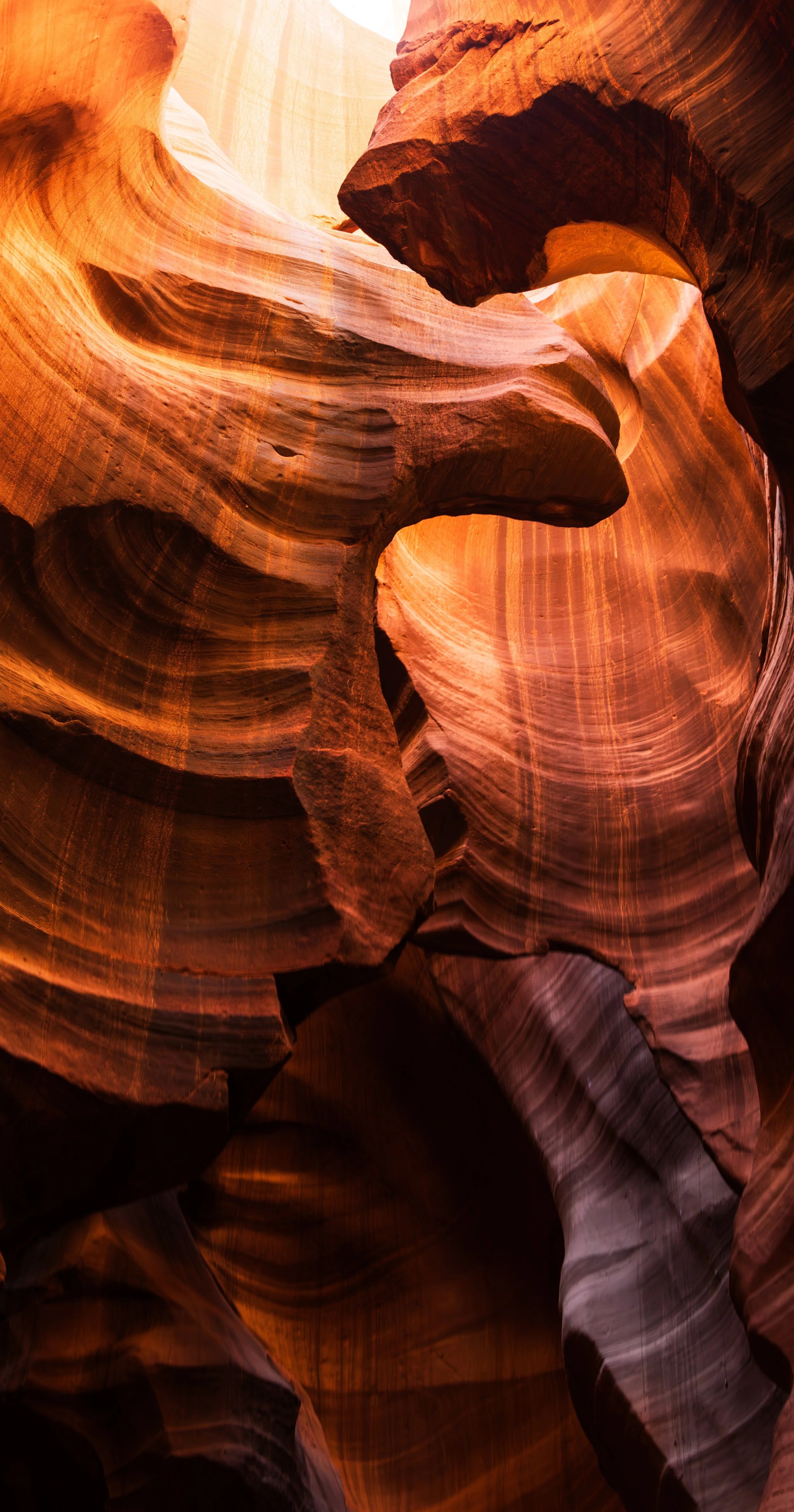 20250420-DSC_7207-HDR-Pano.jpg