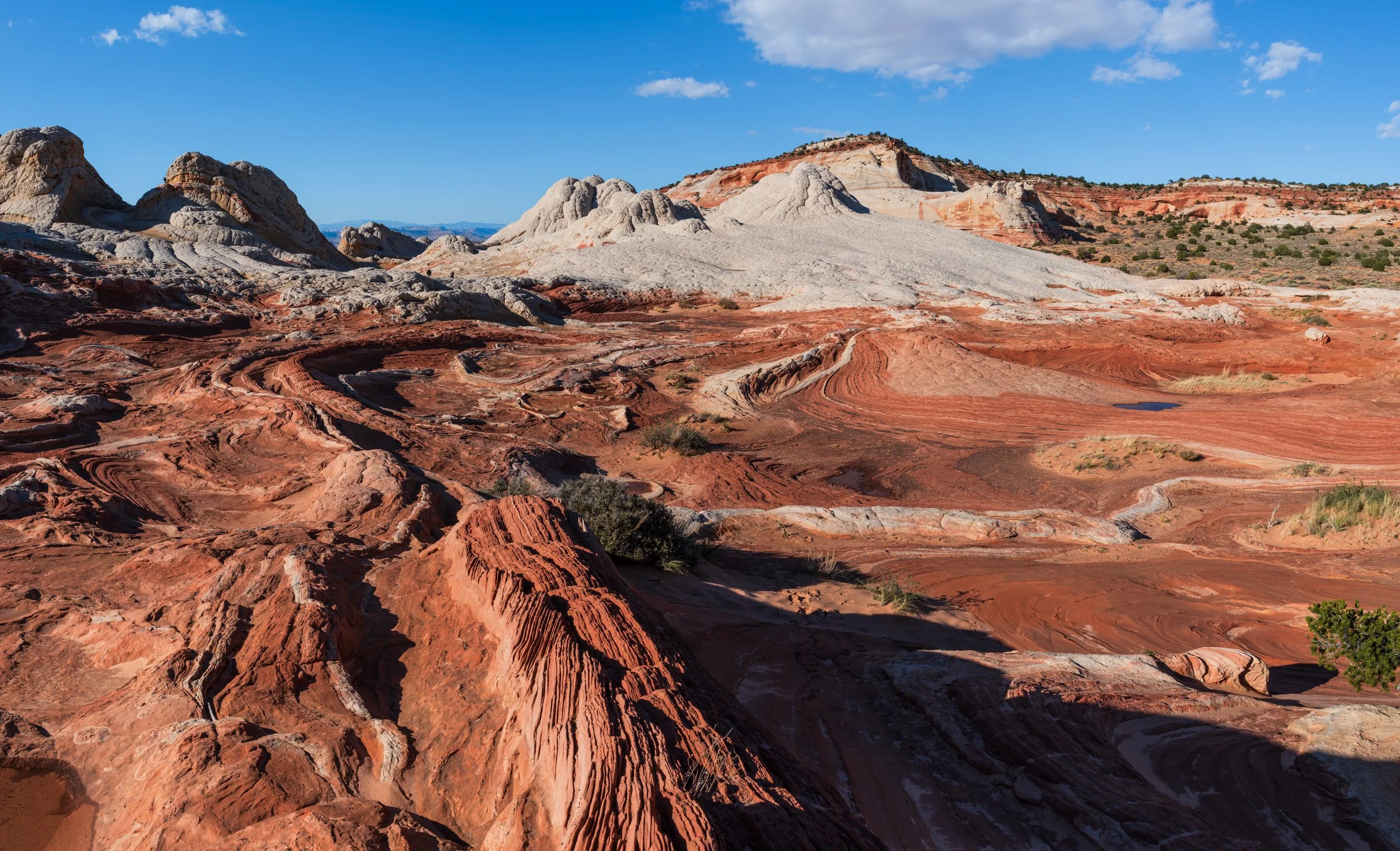 20250419-DSC_5809-HDR-Pano-Enhanced-NR.jpg