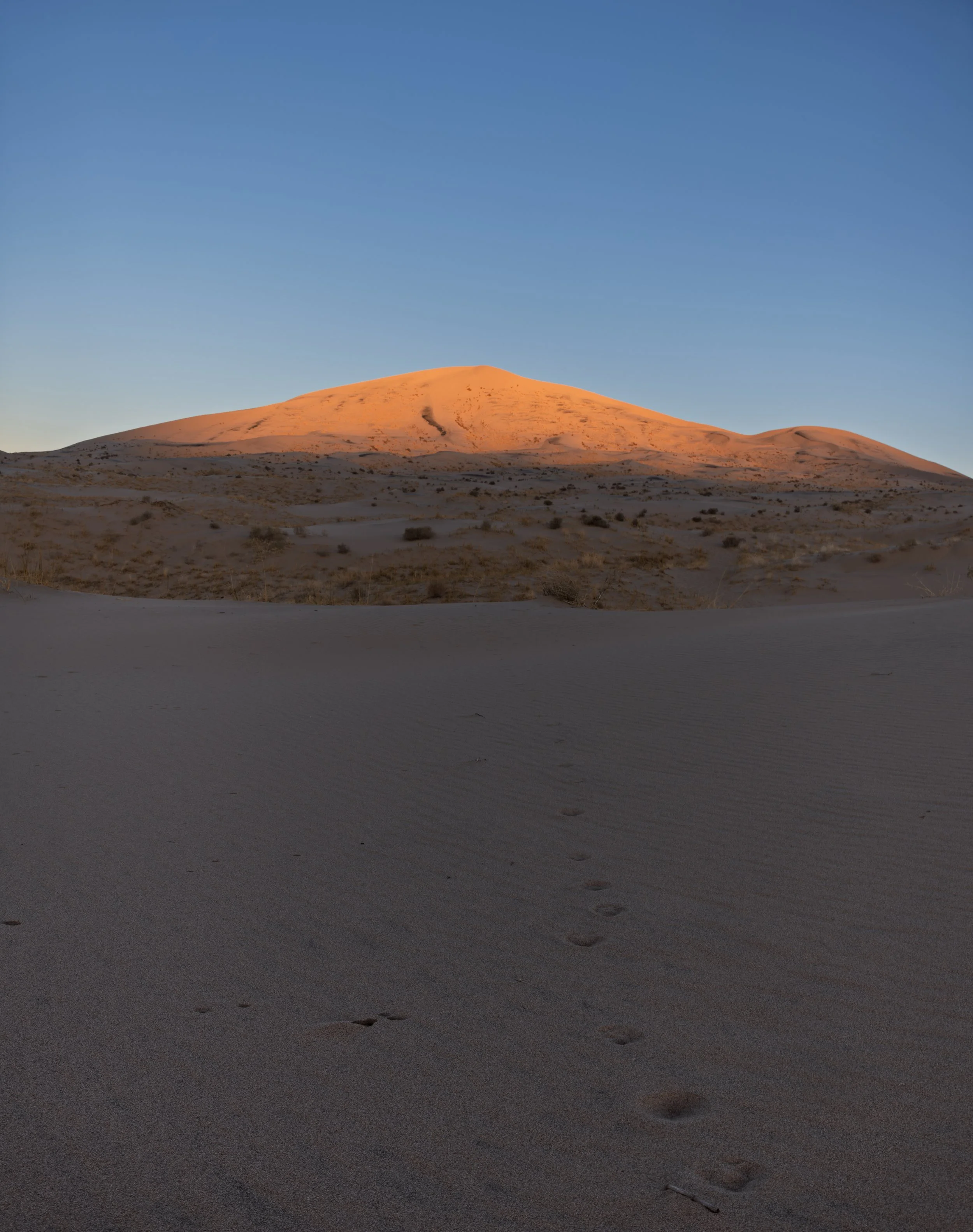20250118-DSC_1801-HDR-Pano.jpg