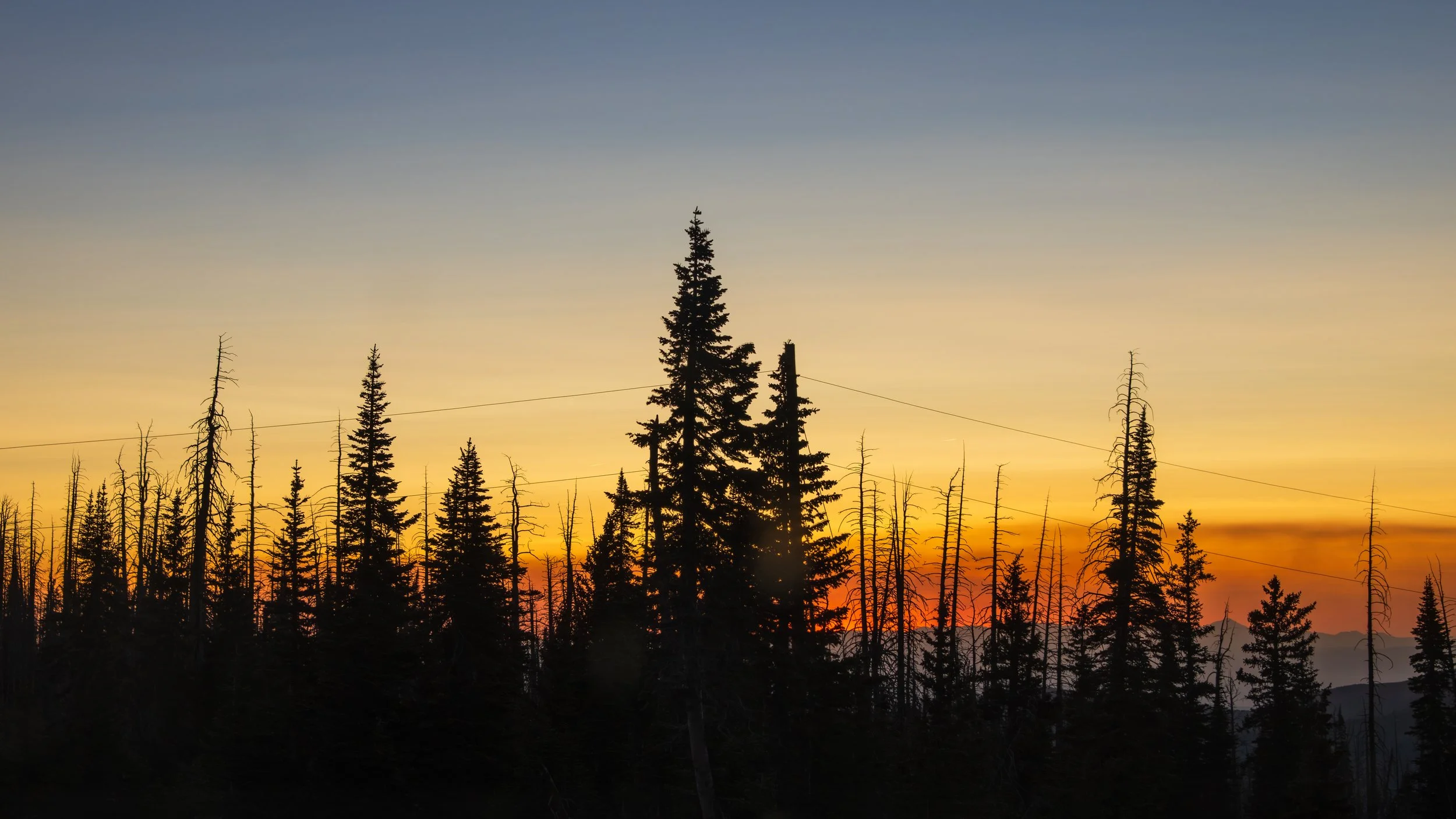 20250620-DSC_9434-HDR.jpg