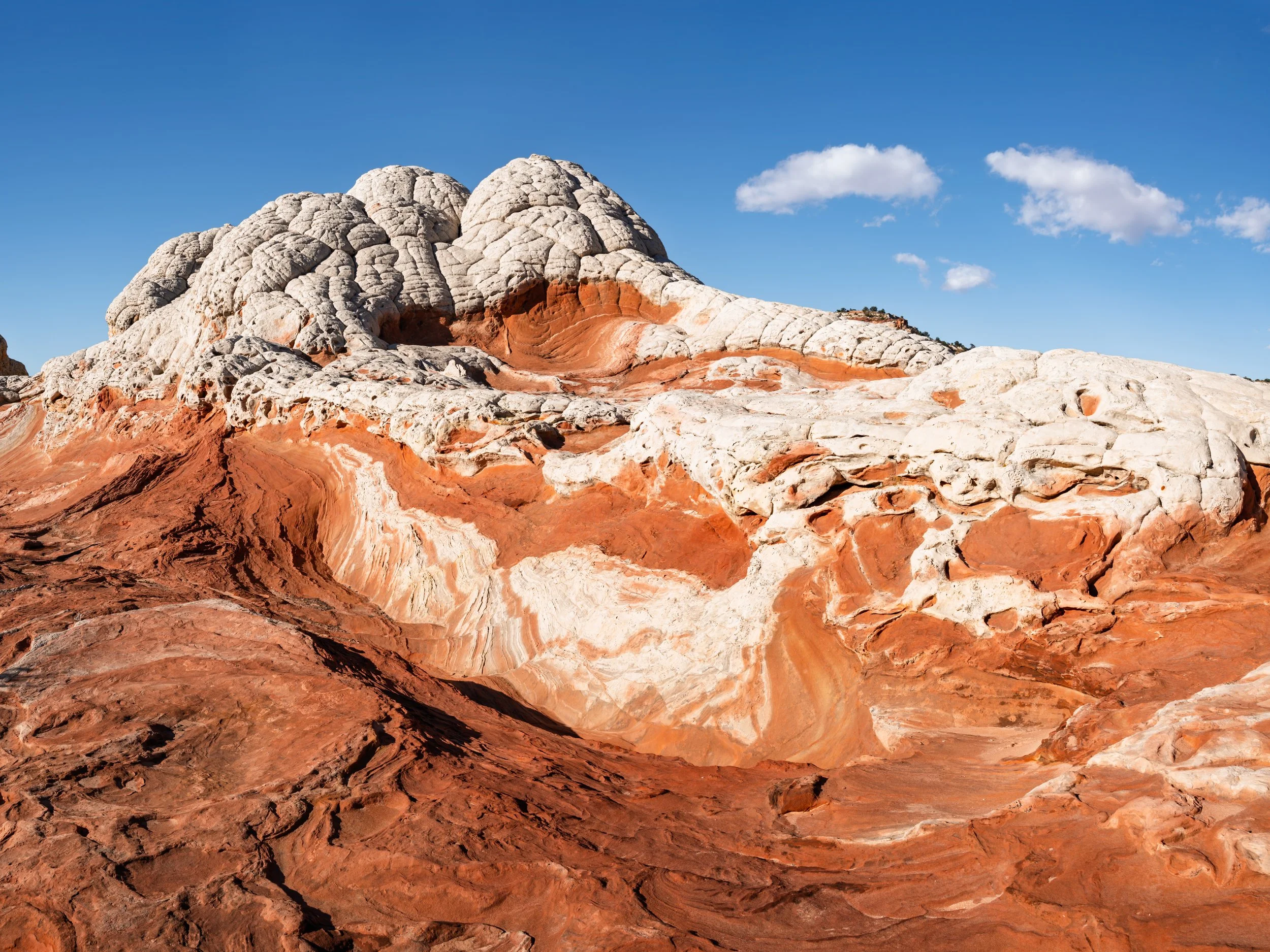 20250419-DSC_5879-HDR-Pano-Enhanced-NR-4.jpg