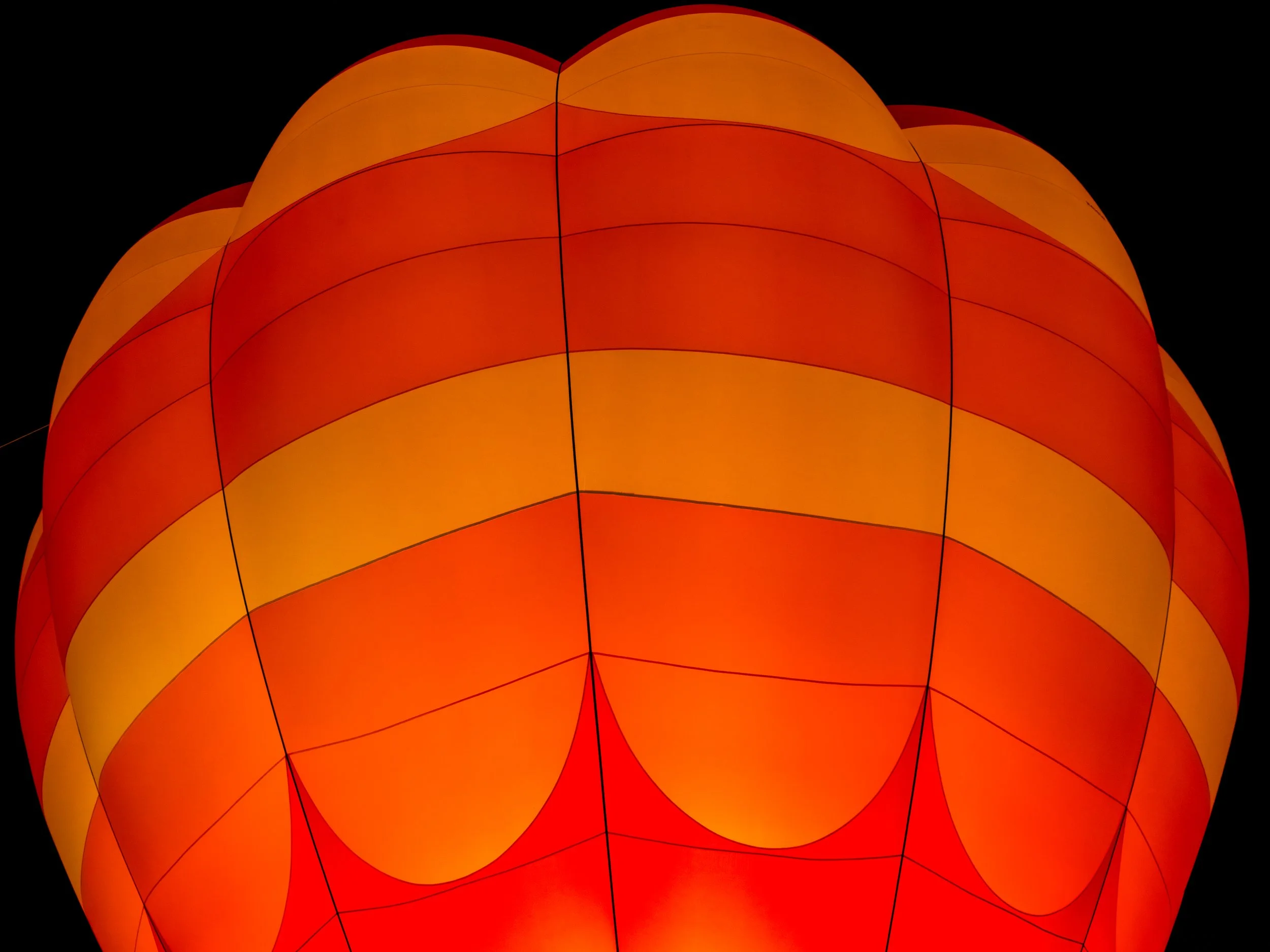20250215-DSC_2929-HDR.jpg