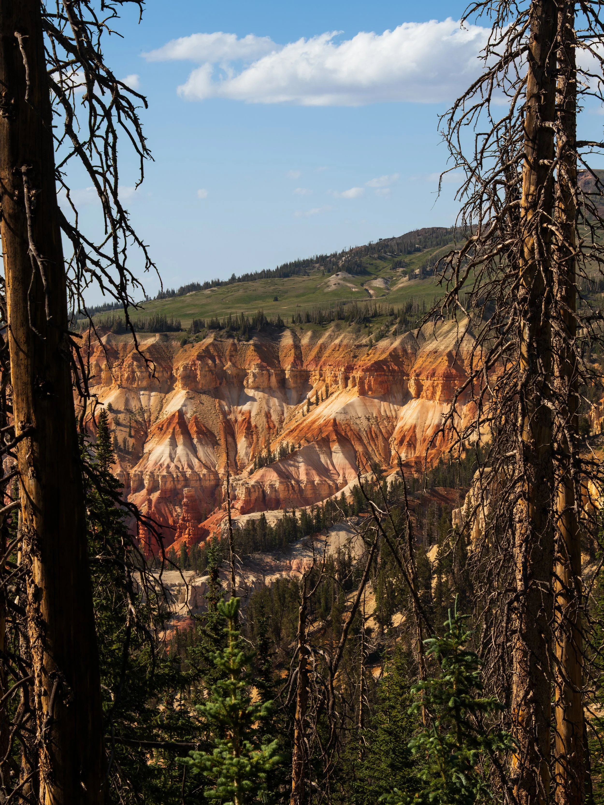 20250704-DSC_0185-HDR.jpg