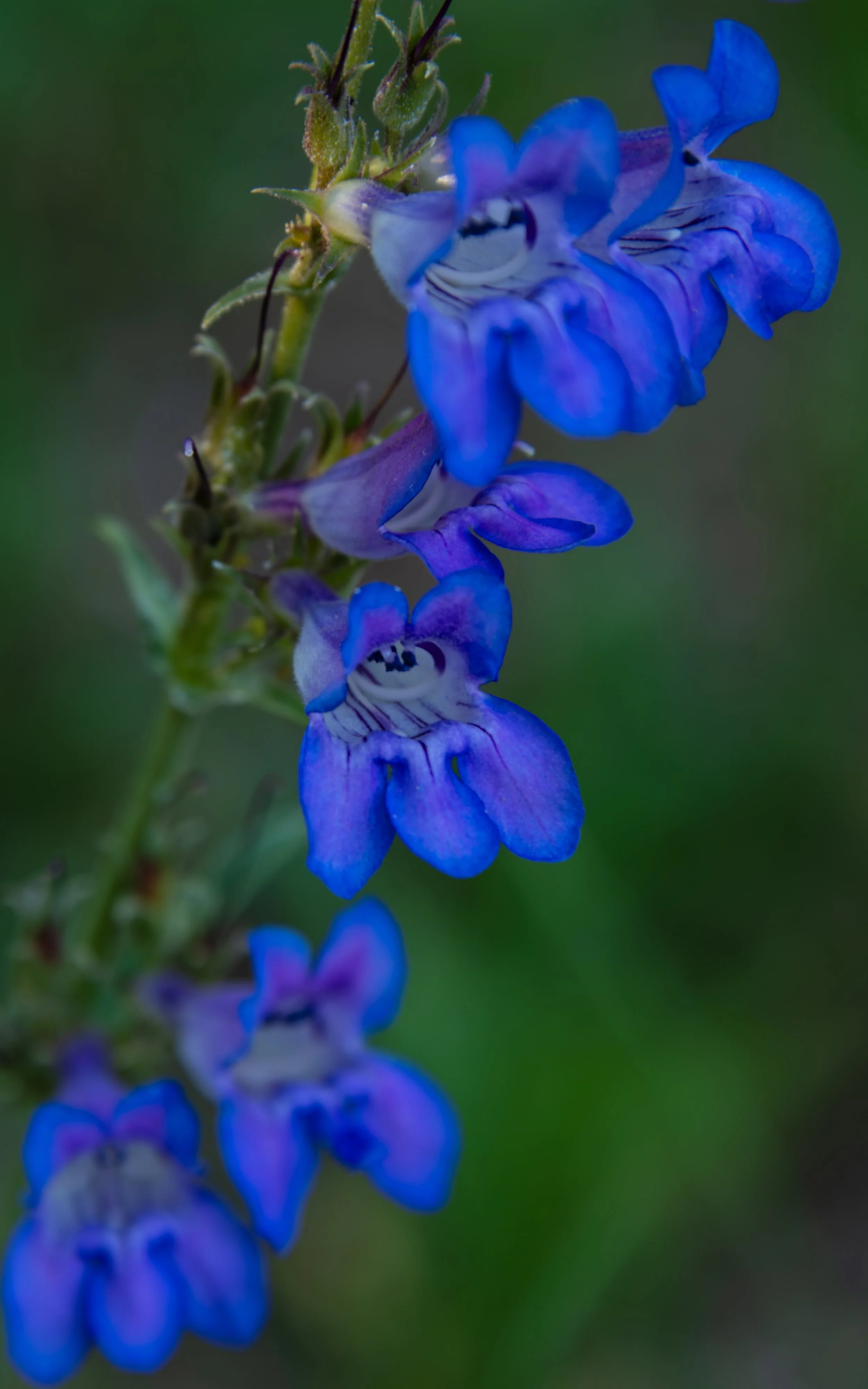 20250704-DSC_0282.jpg