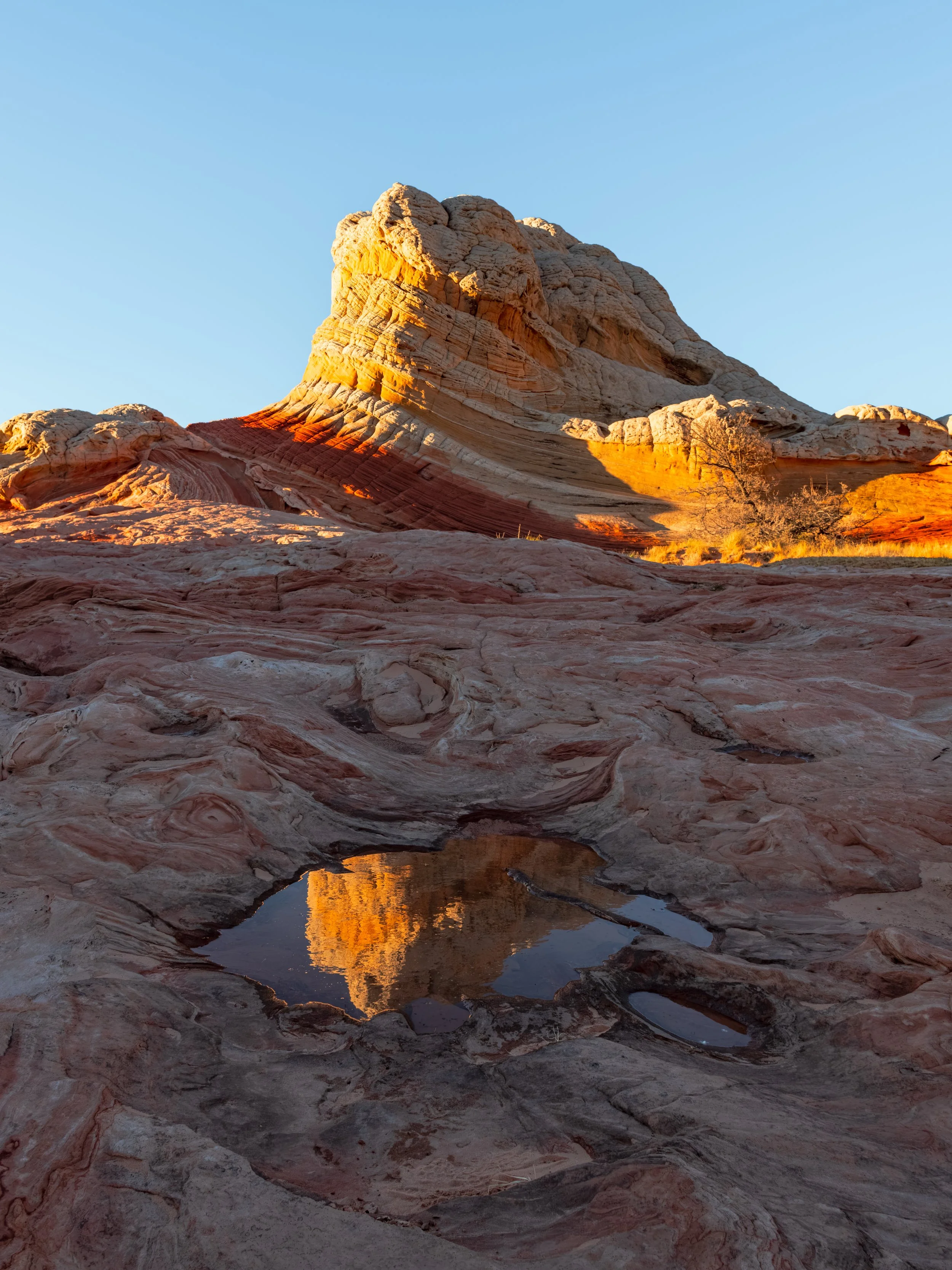 20250419-DSC_6319-HDR-Pano.jpg