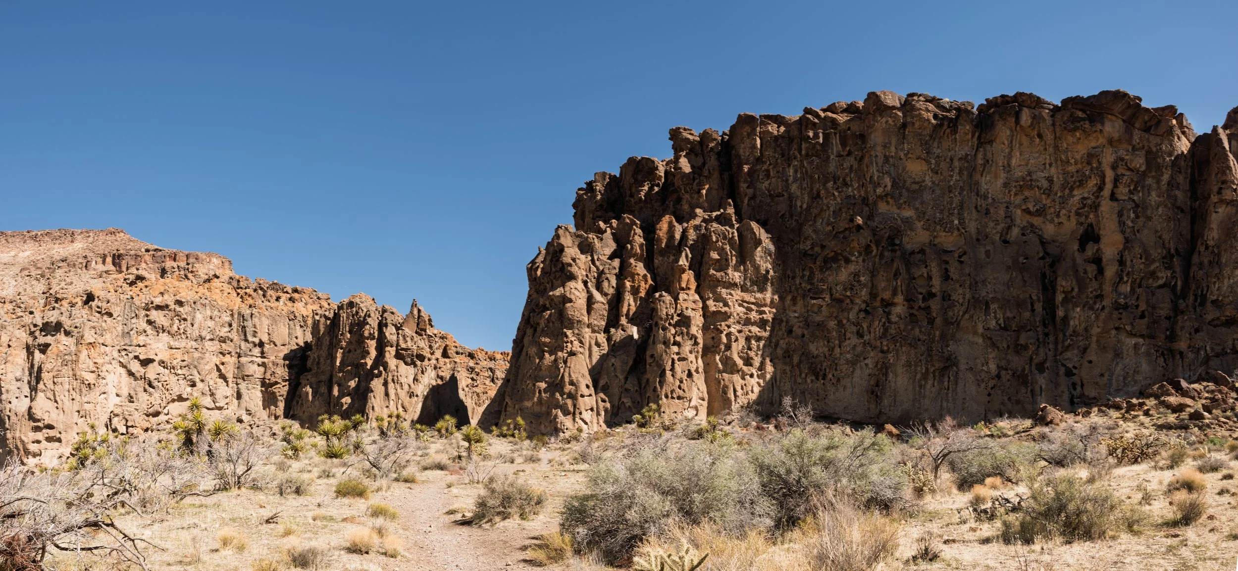 20250315-DSC_4290-HDR-Pano.jpg