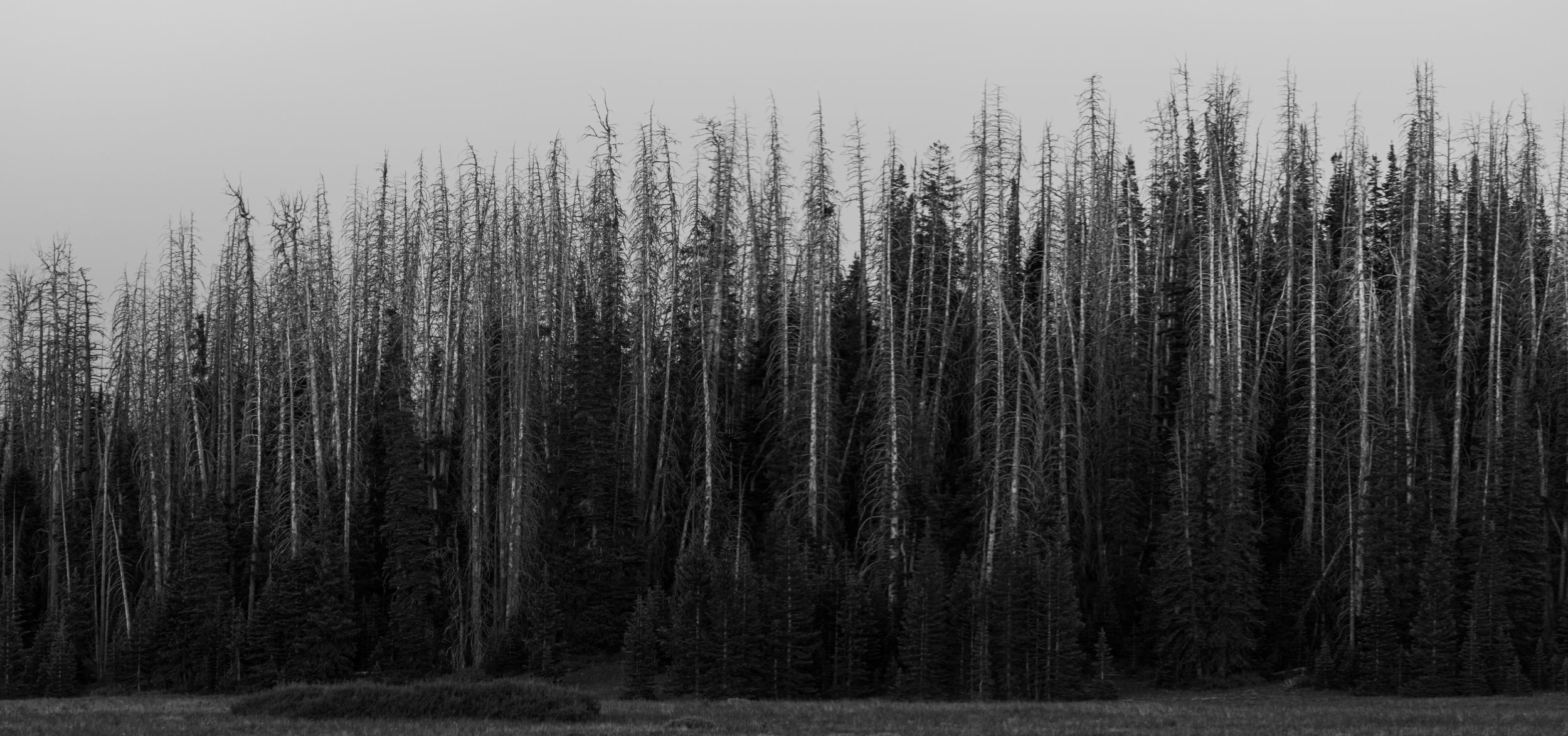 20250704-DSC_0495-HDR-Pano-2.jpg