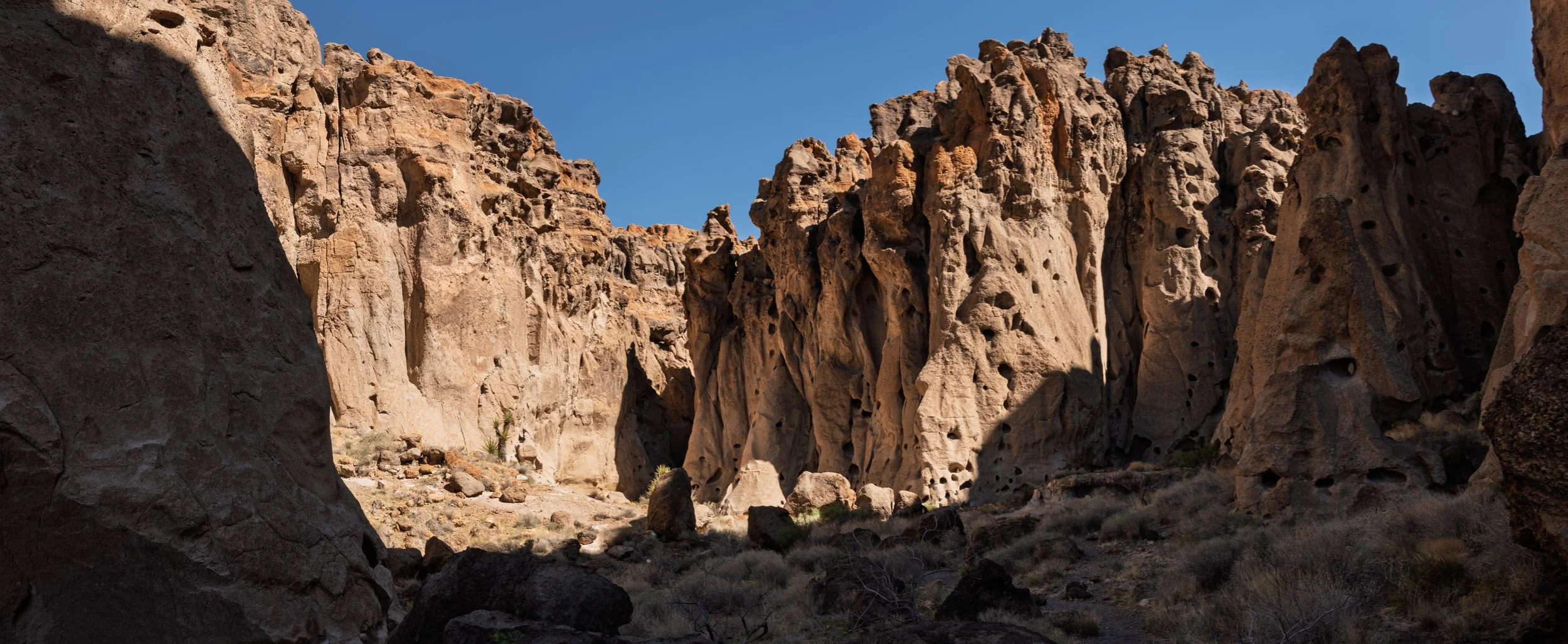 20250315-DSC_4330-HDR-Pano.jpg
