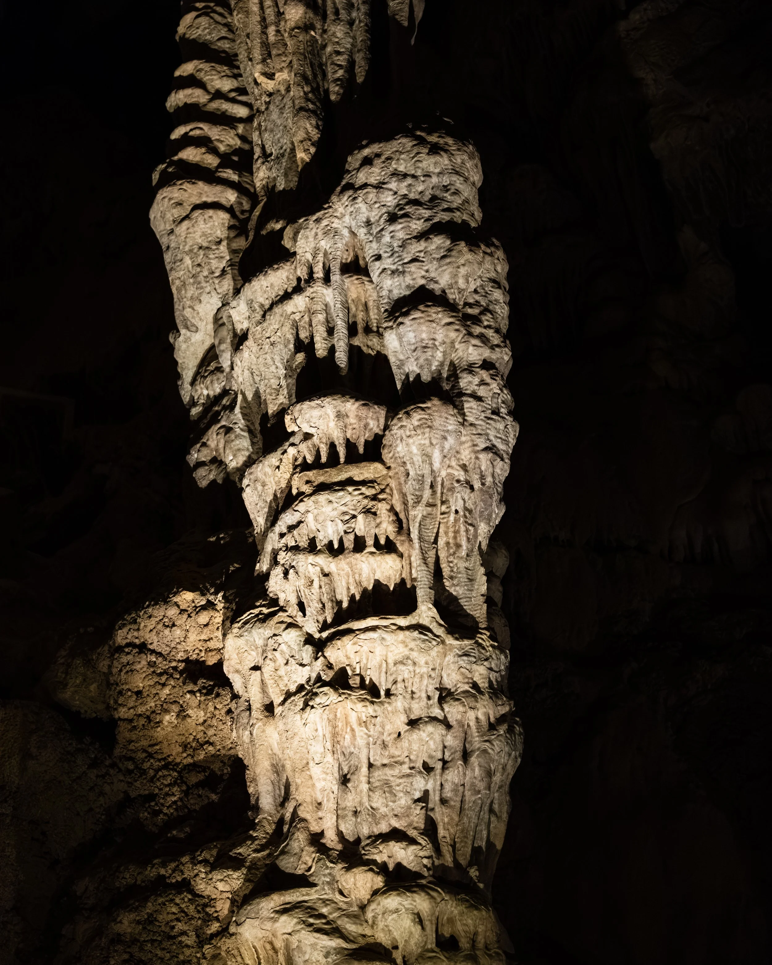 20250118-DSC_2361-HDR.jpg