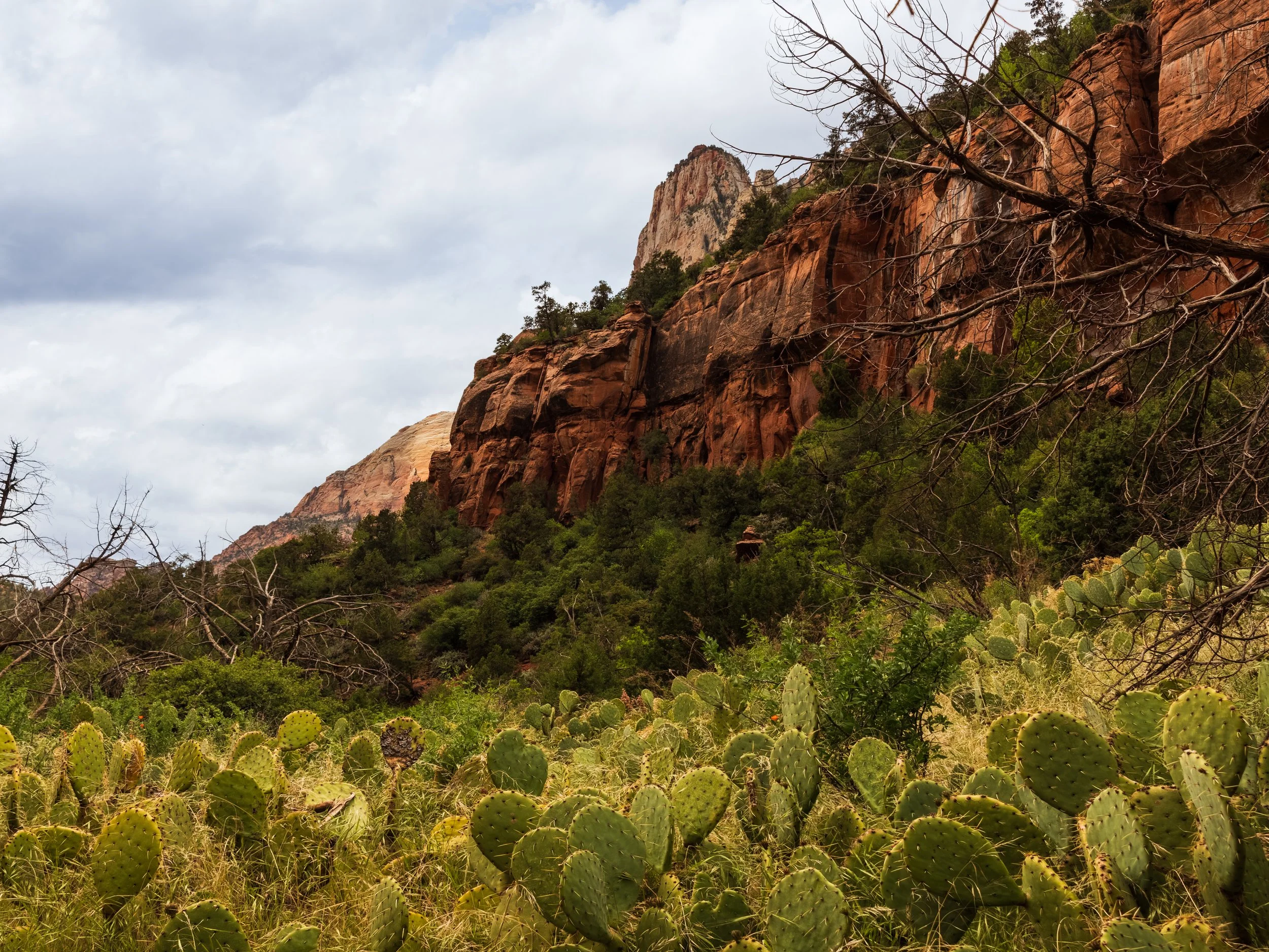 20250504-DSC_7808-HDR-Pano.jpg