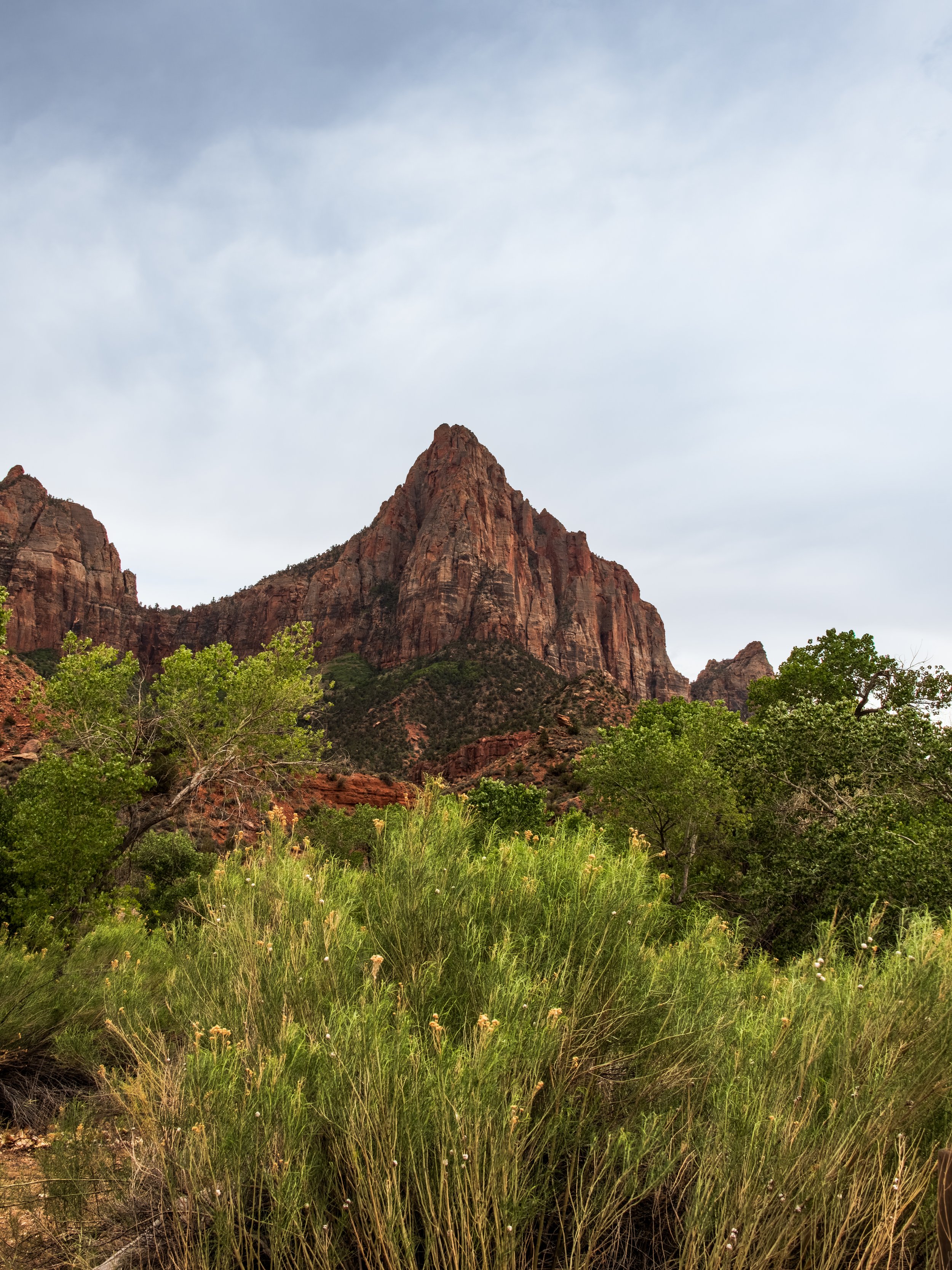 20250504-DSC_7971-HDR.jpg